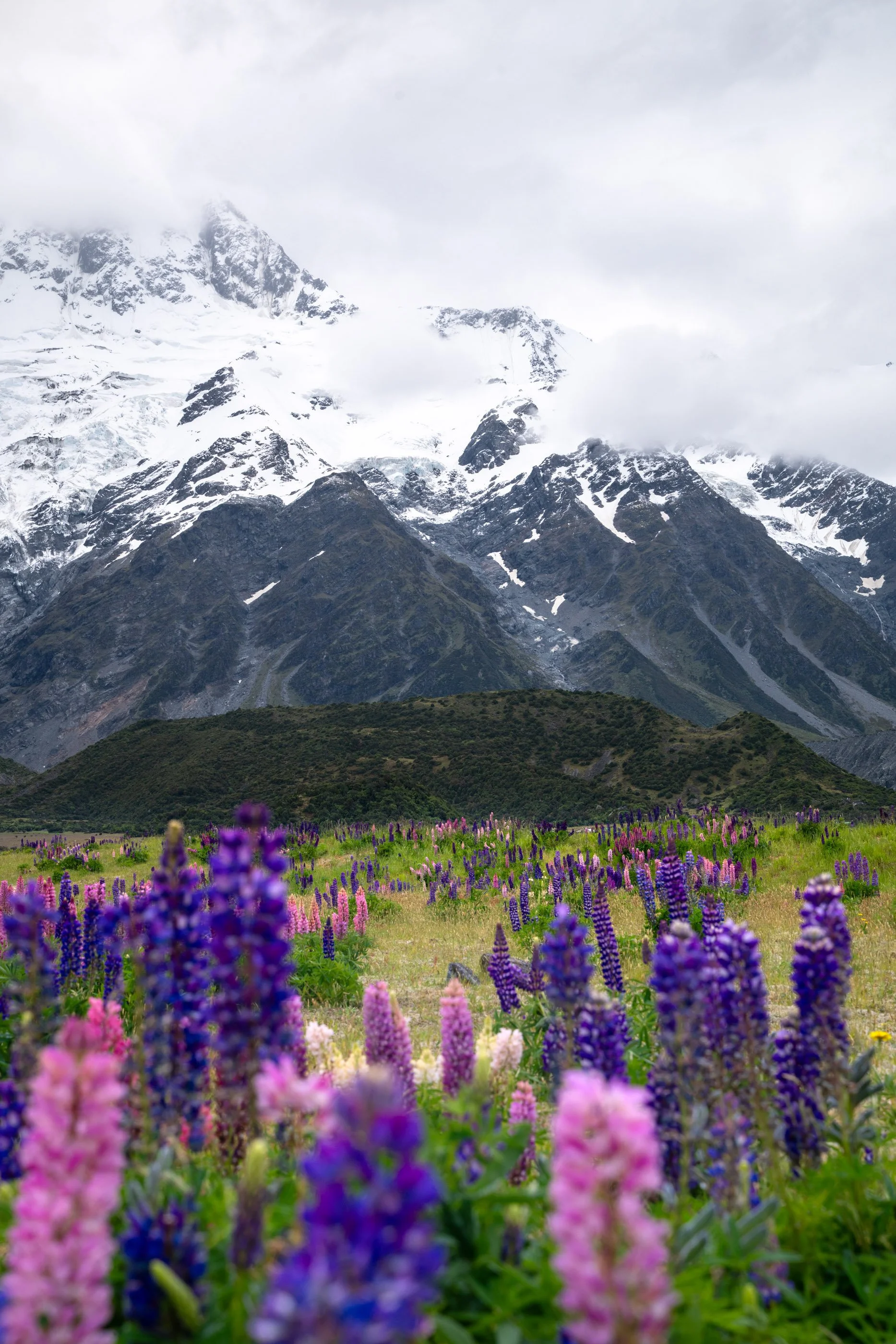 NZ8_9190.jpg