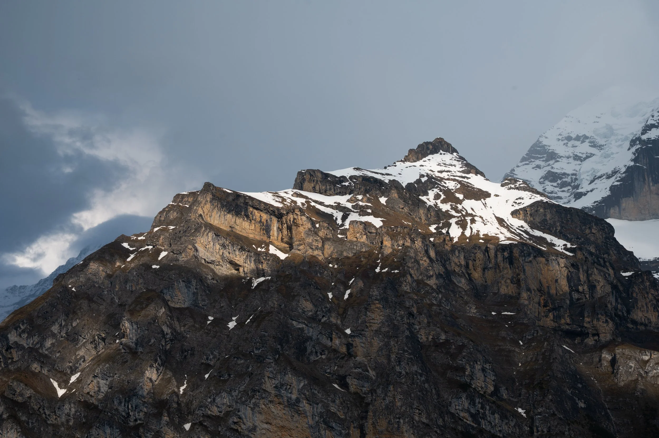 DSC_2338.jpg