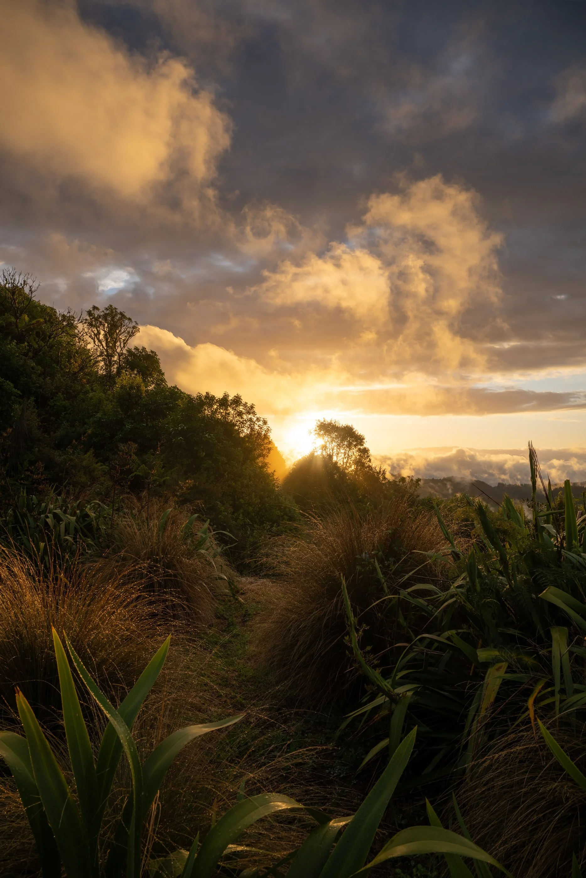 NZ8_1057-HDR.jpg