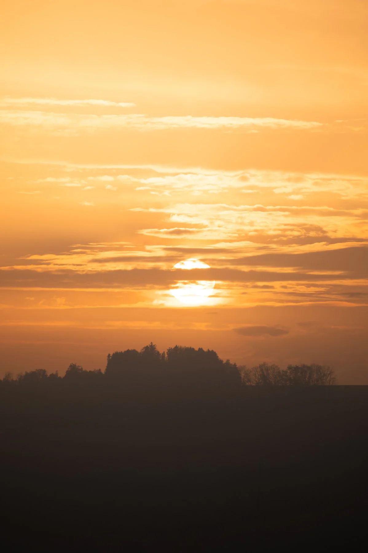 Ein Sonnenuntergang hinter Bäumen, mit einem orangefarbenen Himmel und Wolken.