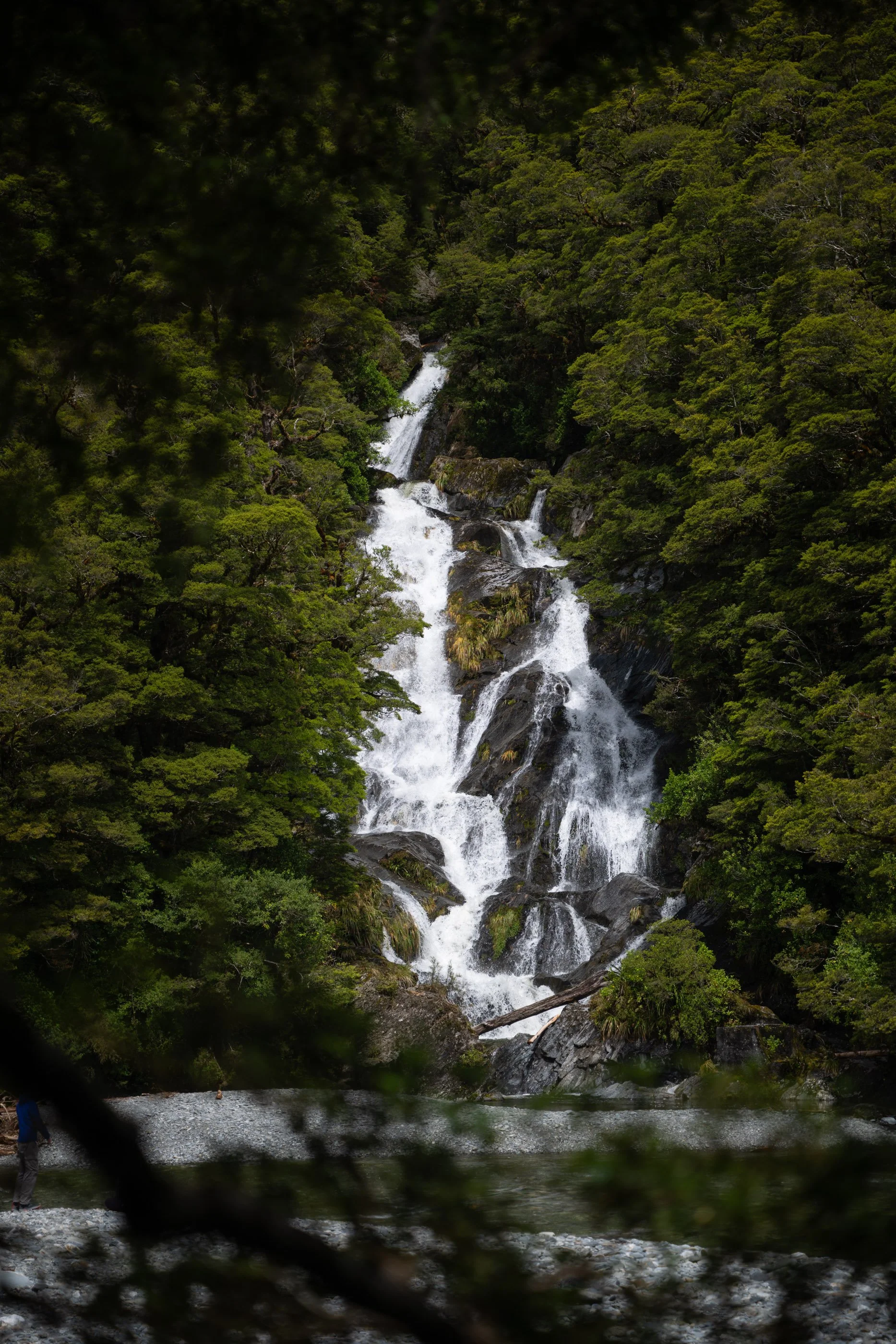 NZ8_4830.jpg