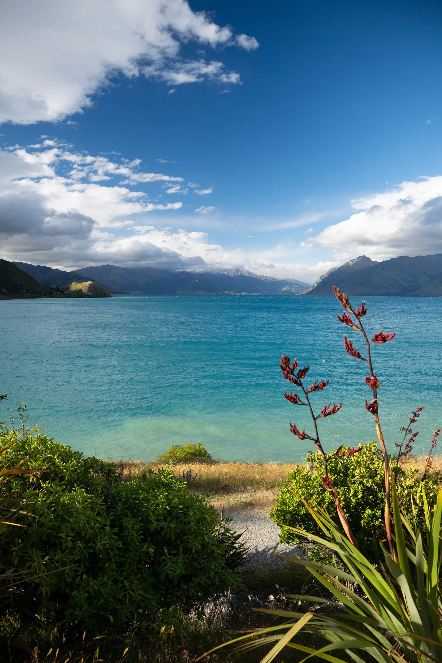 NZ8_5124.jpg