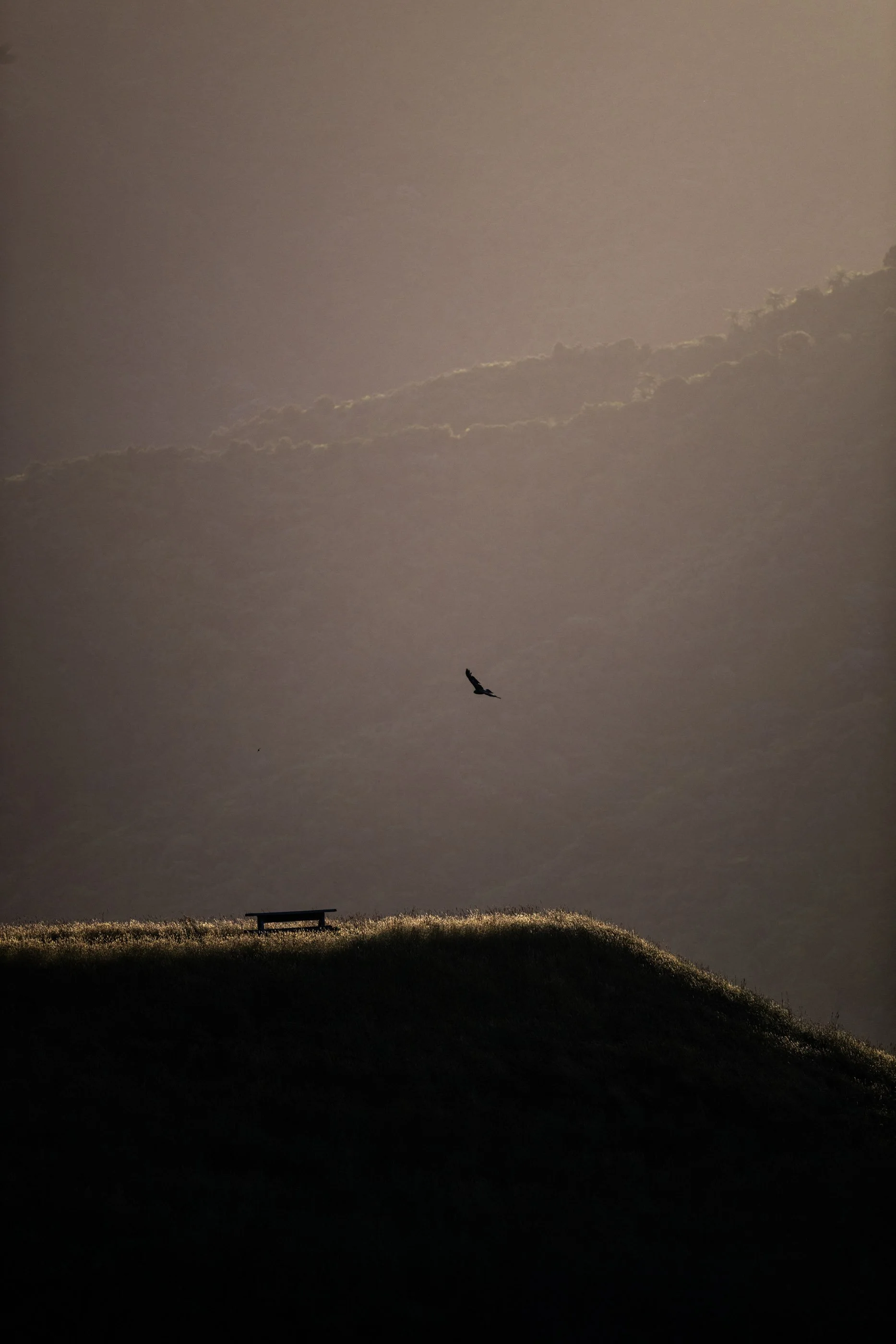 NZ8_2687.jpg