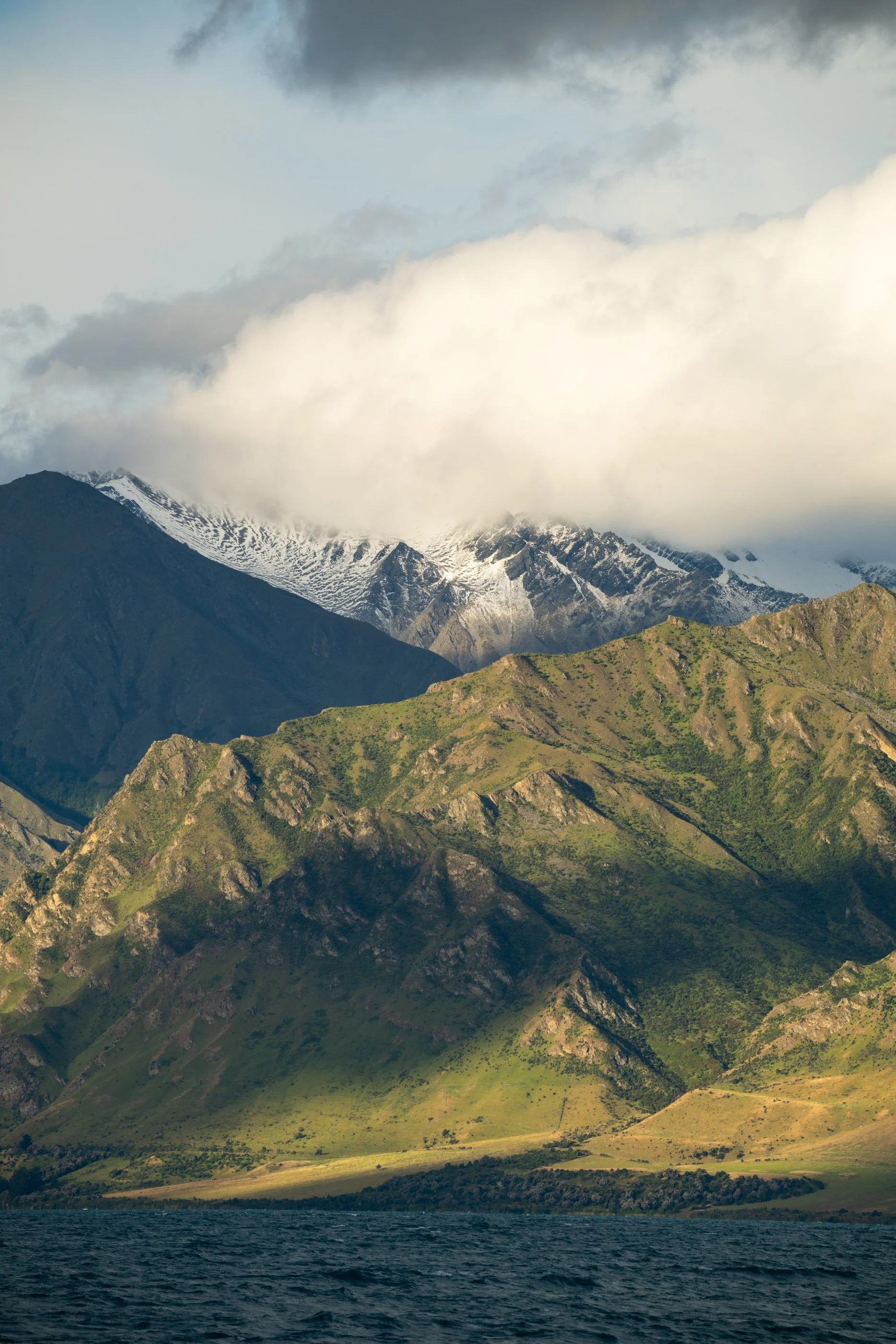 NZ8_6242.jpg