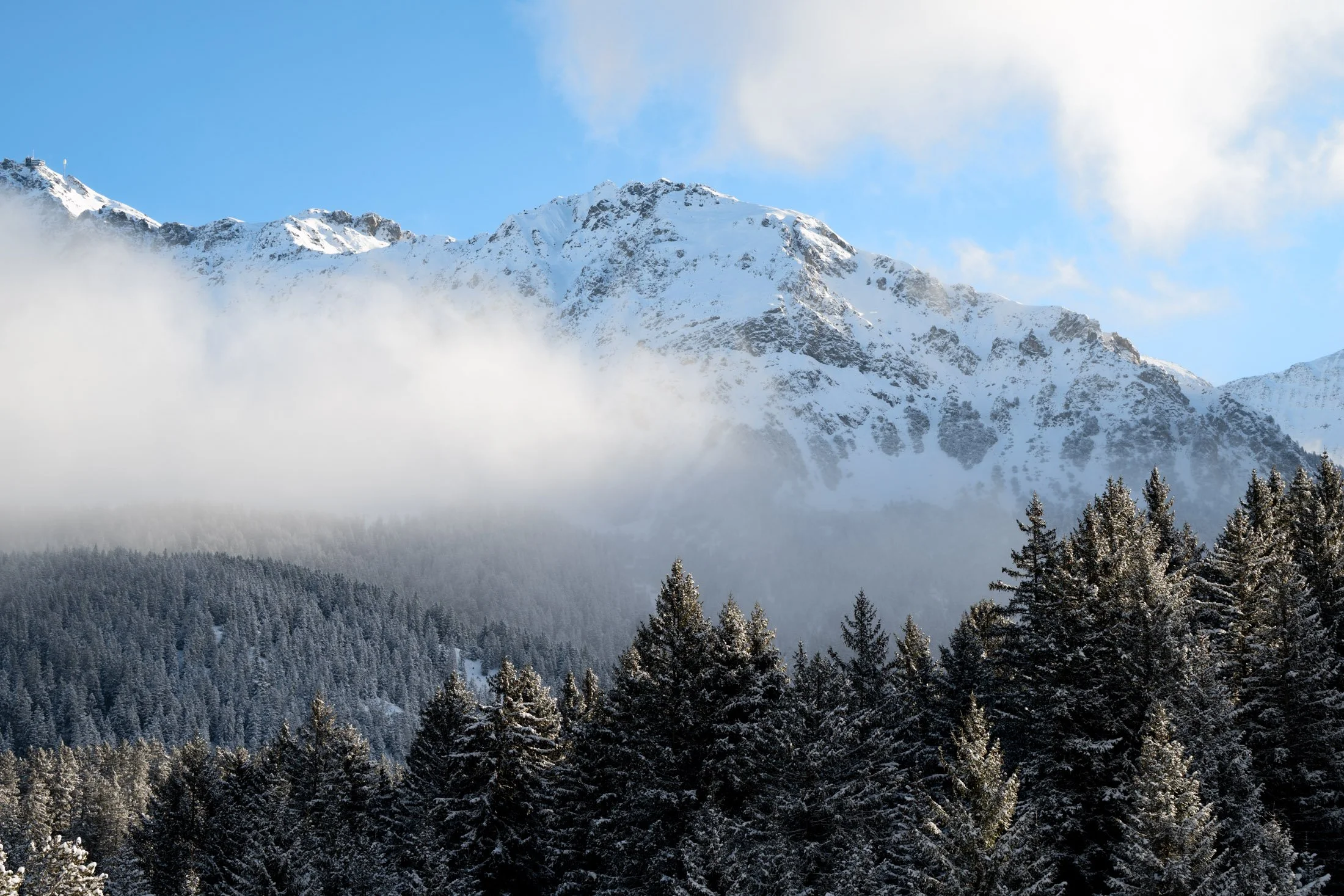 DSC_0219.jpg