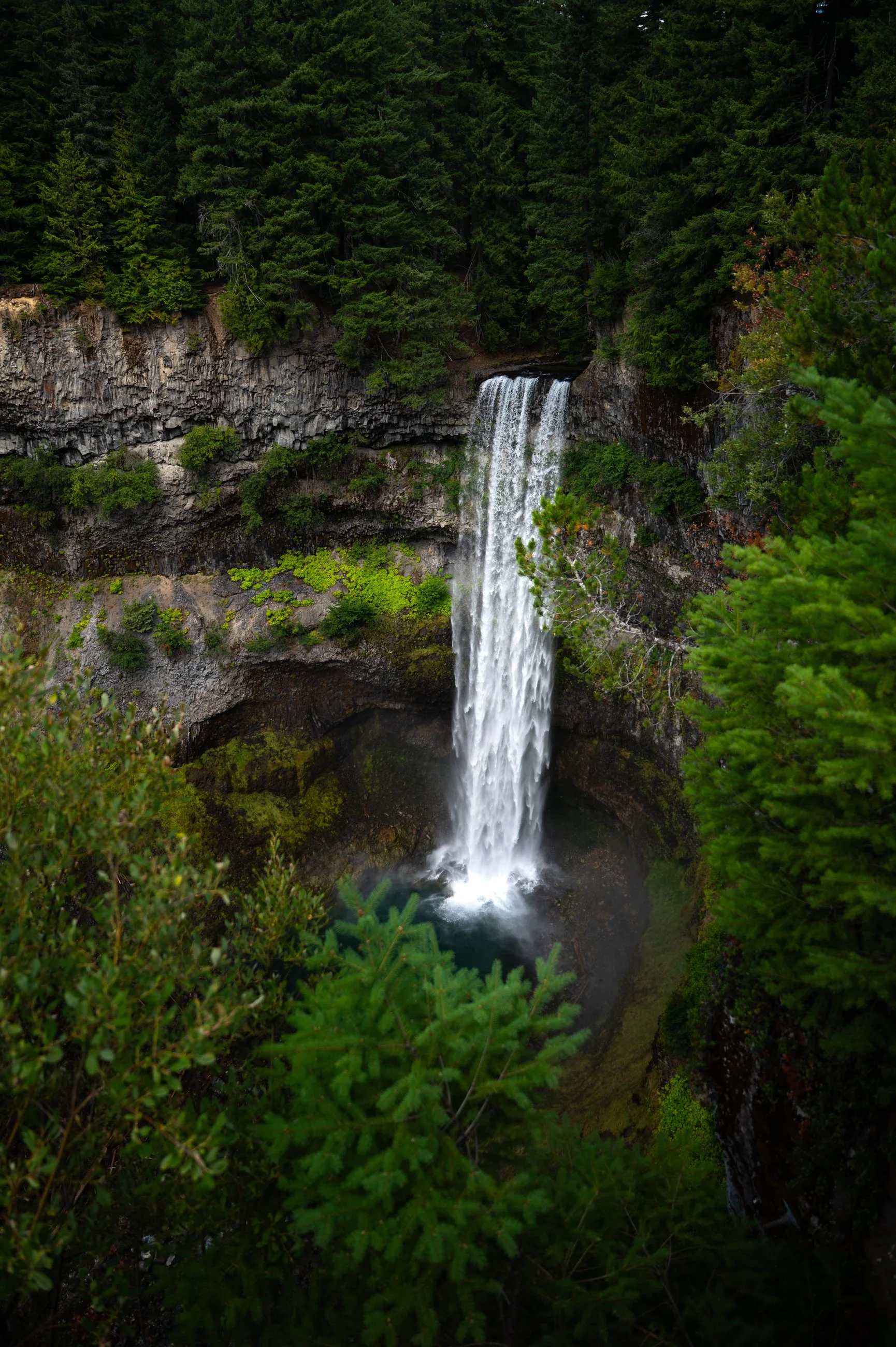 DSC_8053.jpg