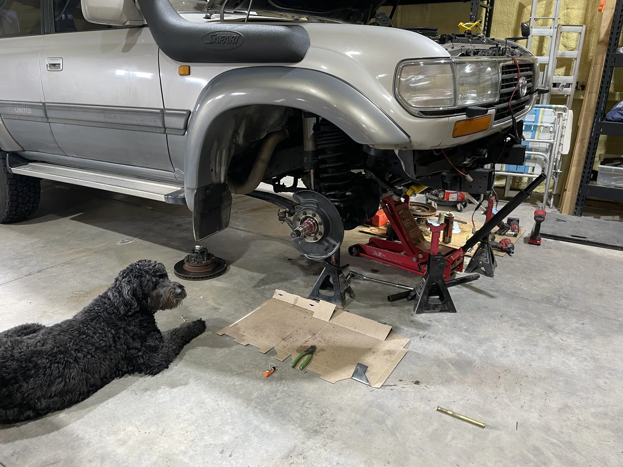 A silver SUV is raised on jack stands in a garage with its front wheel removed. Tools and parts are scattered around, including a cardboard piece, pliers, screwdrivers, and a brass rod. A black dog lies on the concrete floor nearby, watching the scene.
