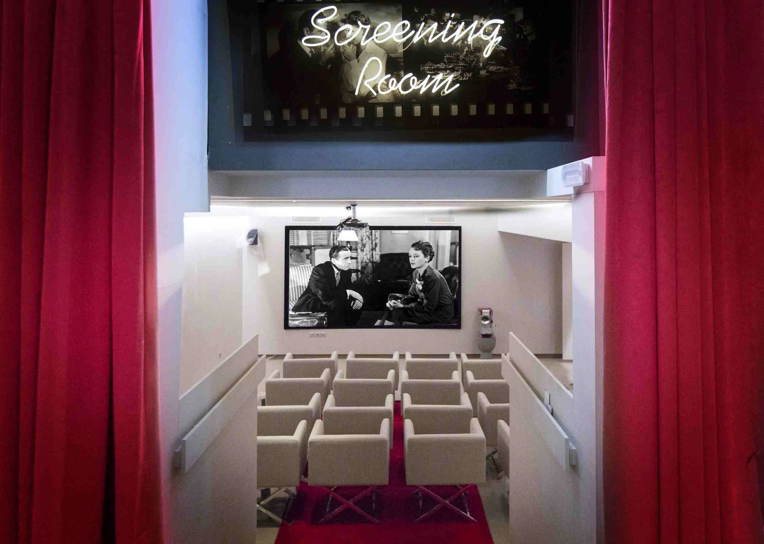 screening room 1 .JPG