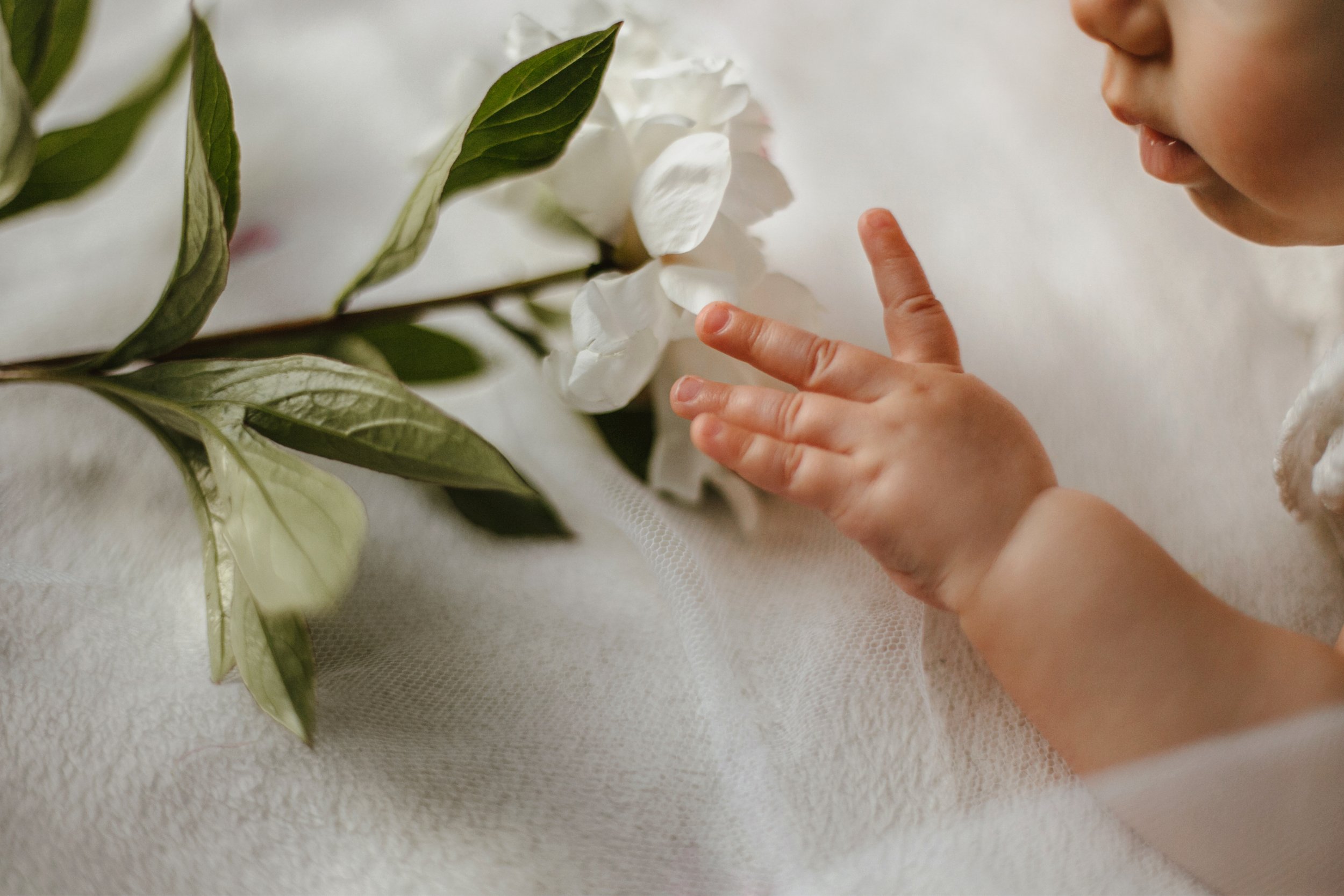crop-view-caucasian-cute-baby-child-hand-face-with-tender-white-peony-lying-white-blanket.jpg