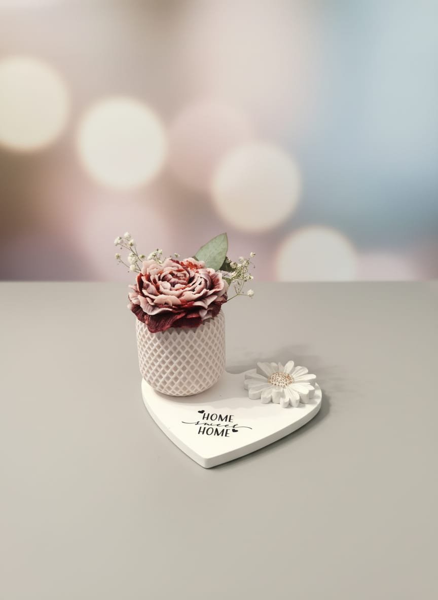 001 Wachsblume ab 10€