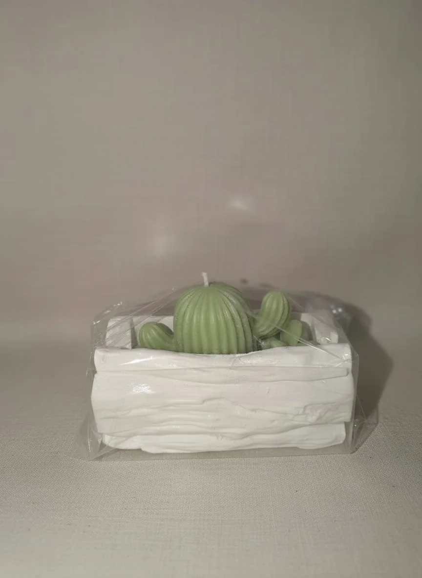 026 Kakteenkerze ab 10,50 €