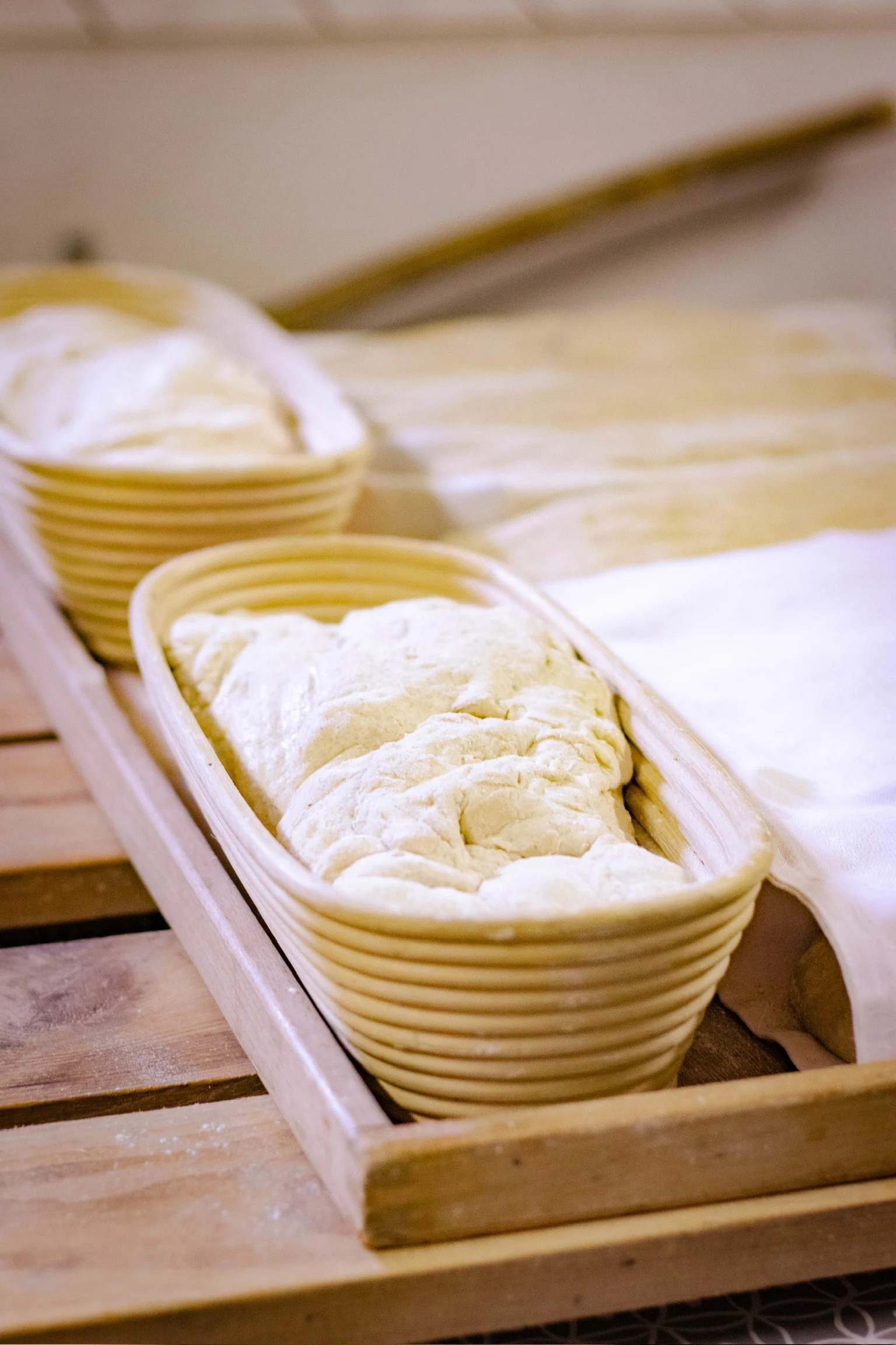 0N6A3481.jpg
