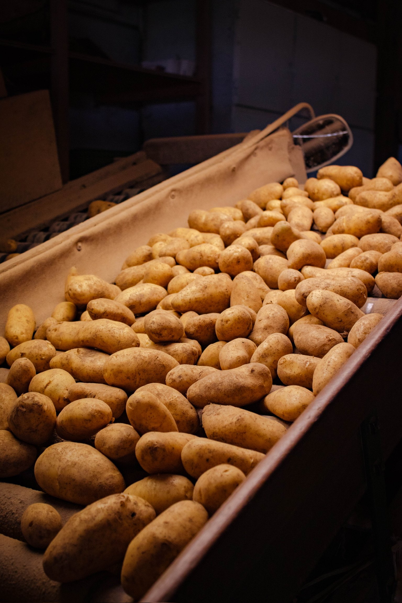 0N6A2752.jpg