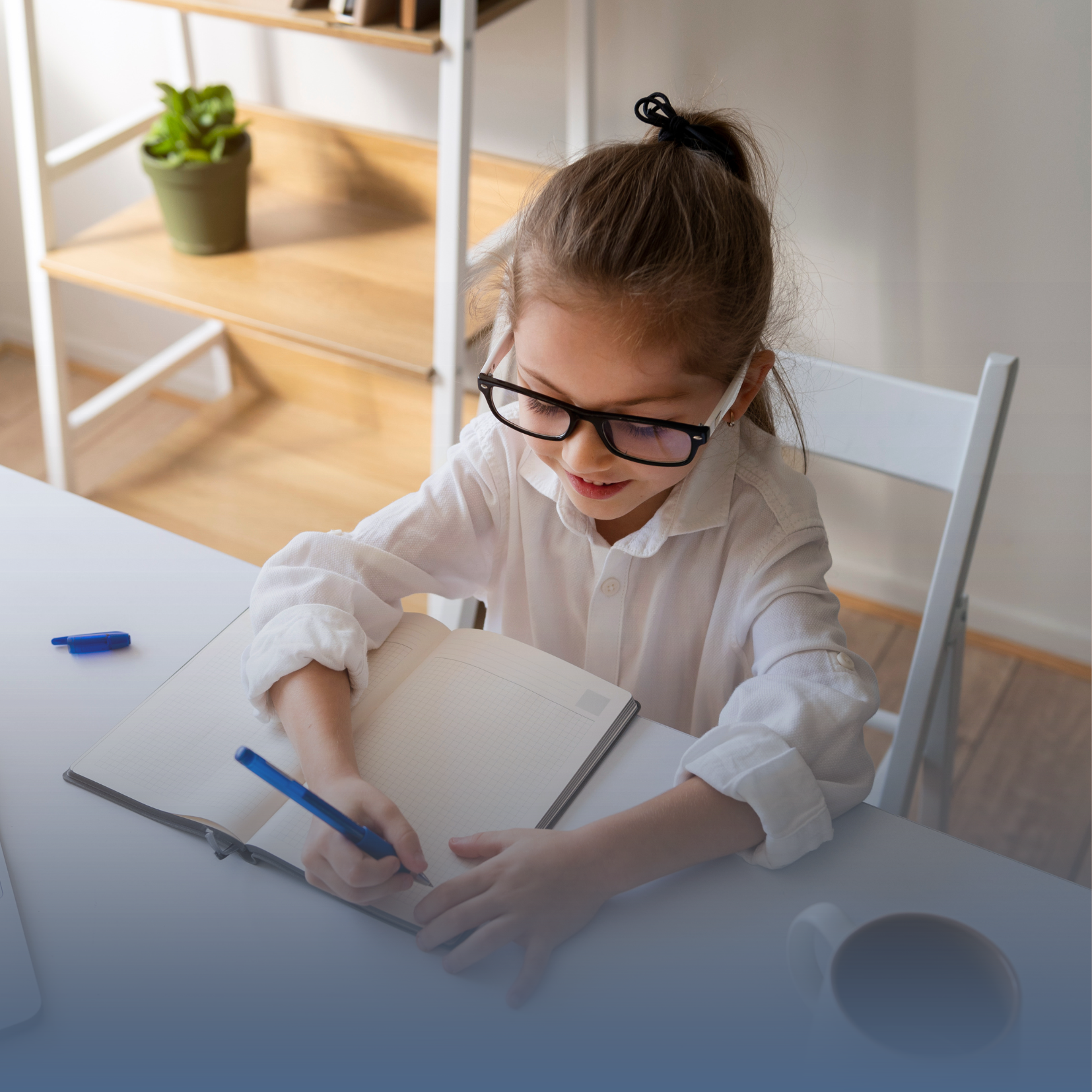 11+ Verbal Reasoning