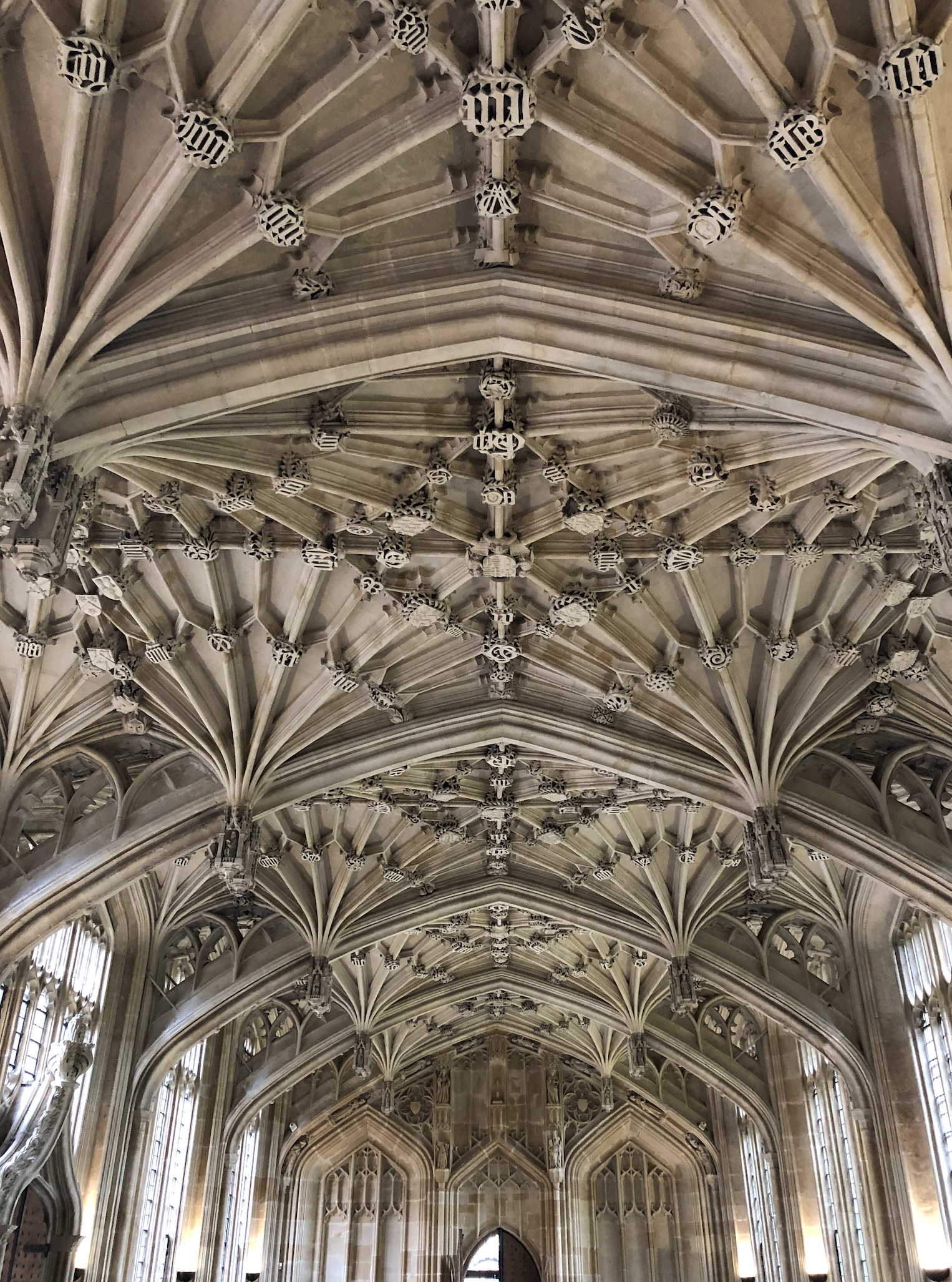 Bodleian Library, ceiling, Oxford