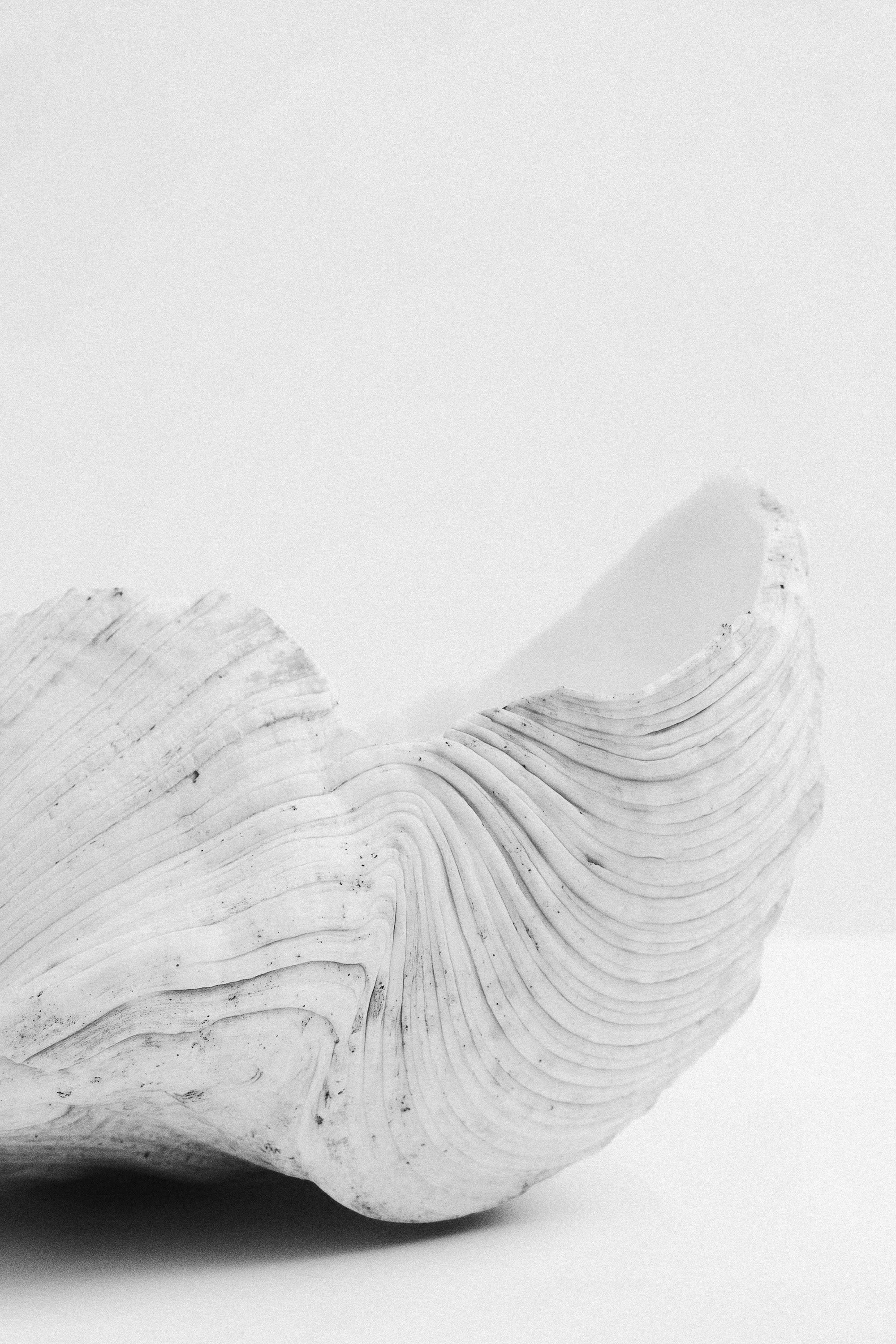 close up of drift wood