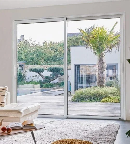 Vue à travers une grande fenêtre en verre montrant un jardin avec un palmier et des arbustes, avec un bâtiment blanc en arrière-plan.