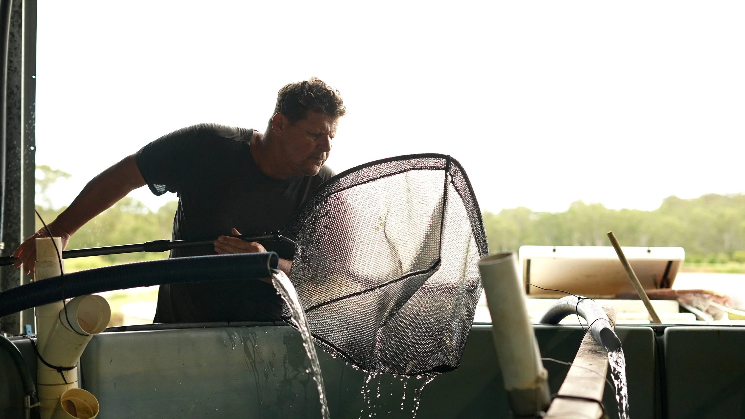 A man working outdoors with water flowing into a large container, holding a net and adjusting equipment. Fish for Dams, Childers, Queensland, Australia. Fish Farm.