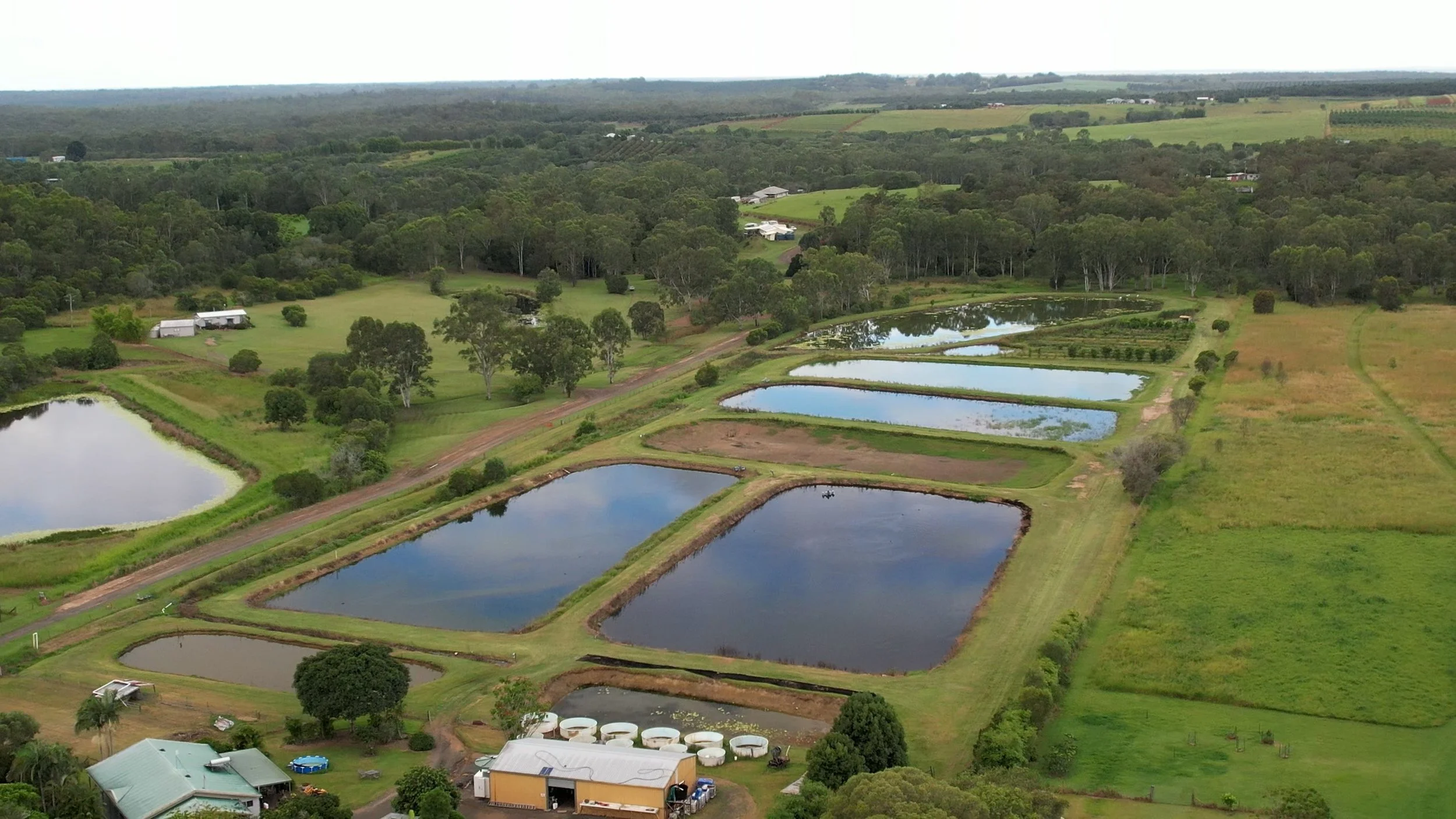 Aerial view of a fish farm with multiple rectangular fish ponds, green fields, trees, and farm buildings surrounded by farmland and forests. Fish for dams in Childers, Queensland, Australia.