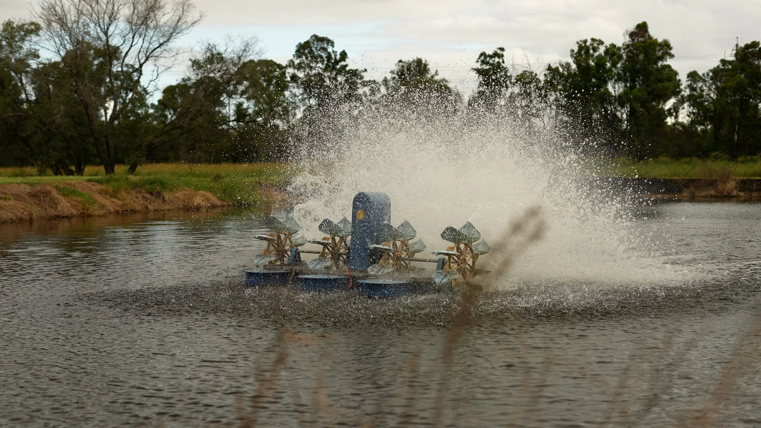 Dam or pond surface aeration system.
