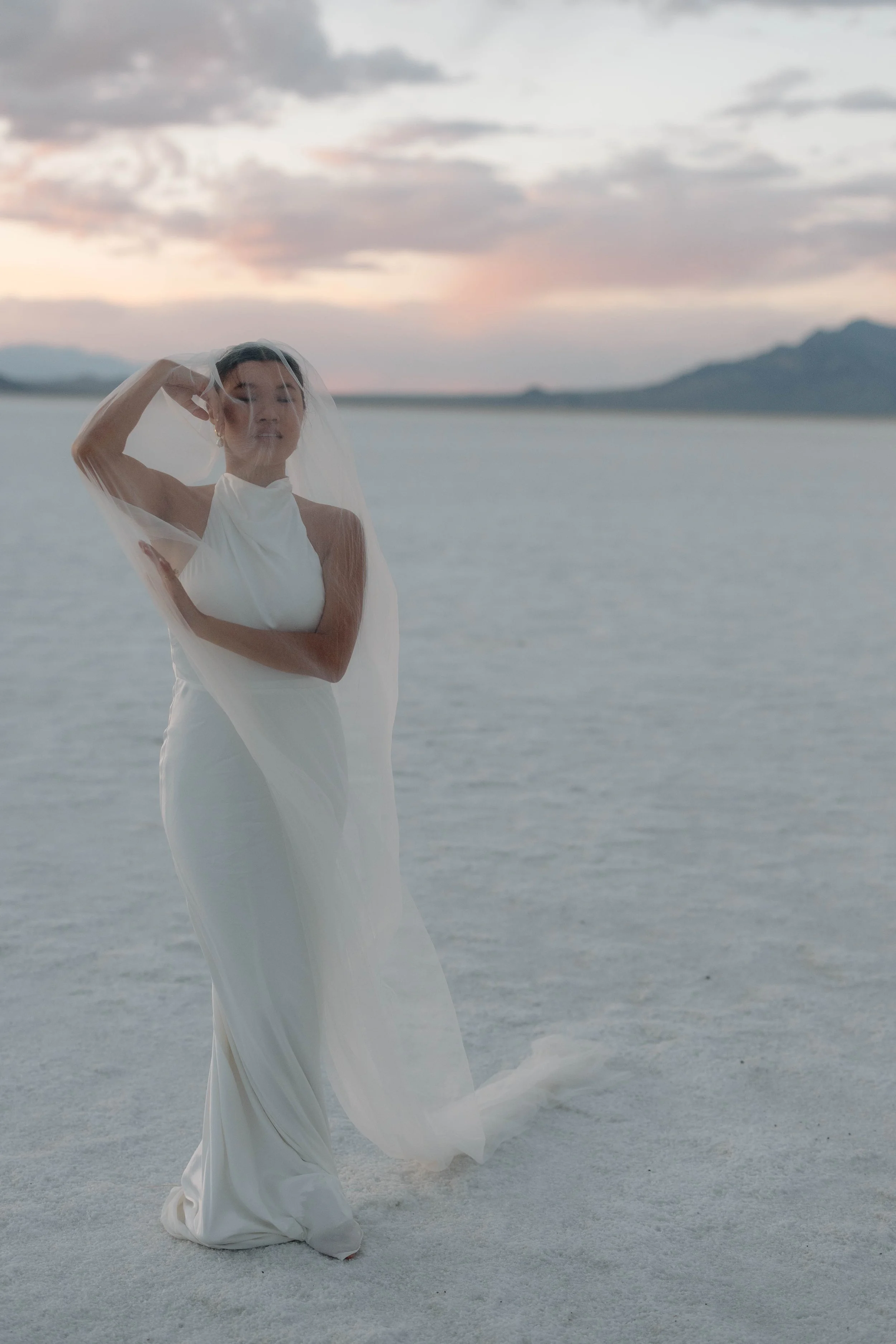 A bride stands in a desert scene elegantly posed beneath her veil