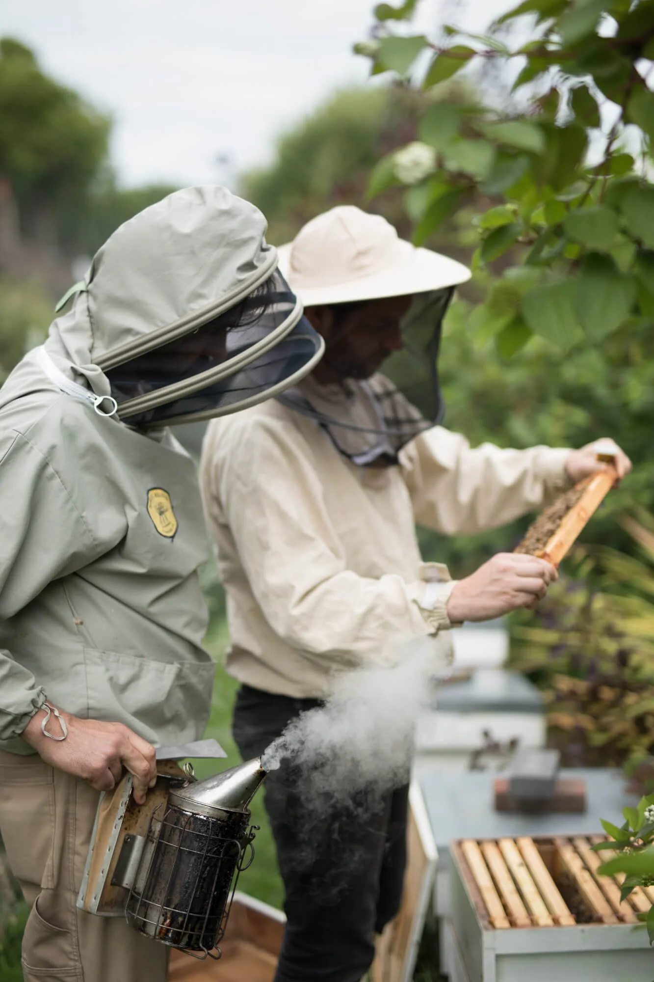 Urban Bee Keepers in London, Checking Slats and Tending to Bees in Garden