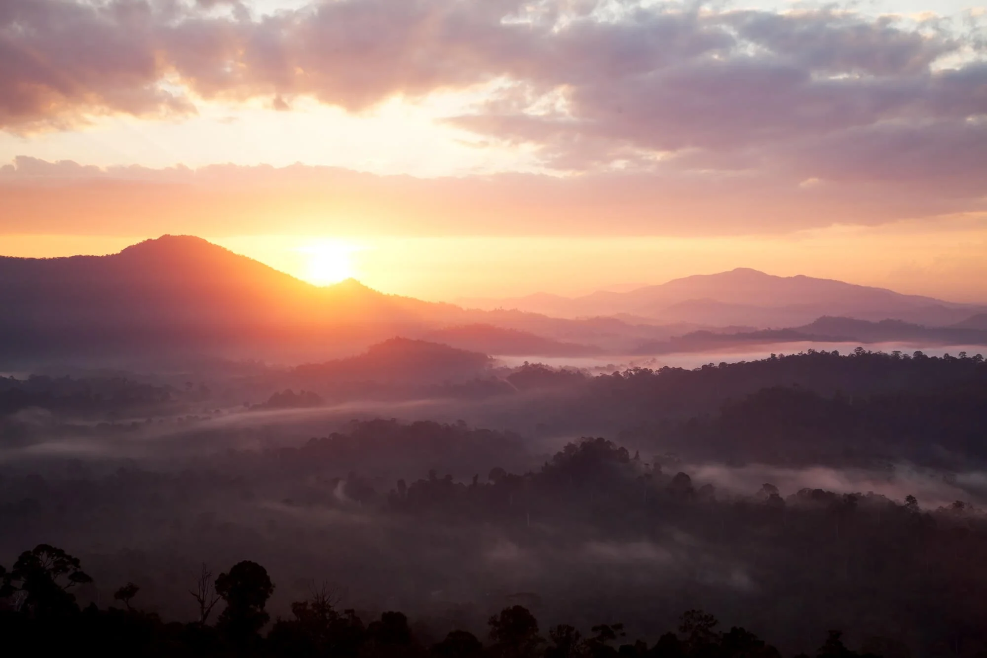 Sunrise above Jungle Landscape in Danum Valley, Sabah, Borneo