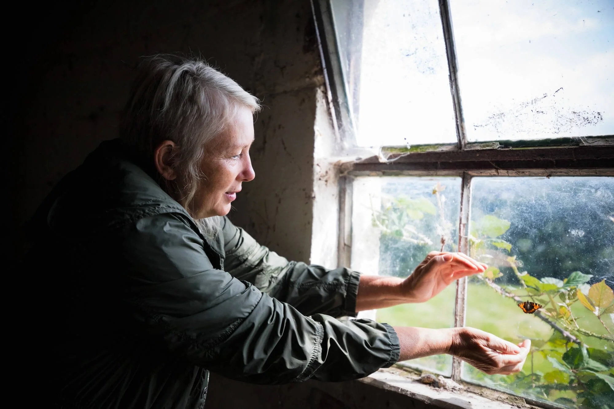 Grey Haired Lady Saving Trapped Butterfly from Window of an Old Farm Building