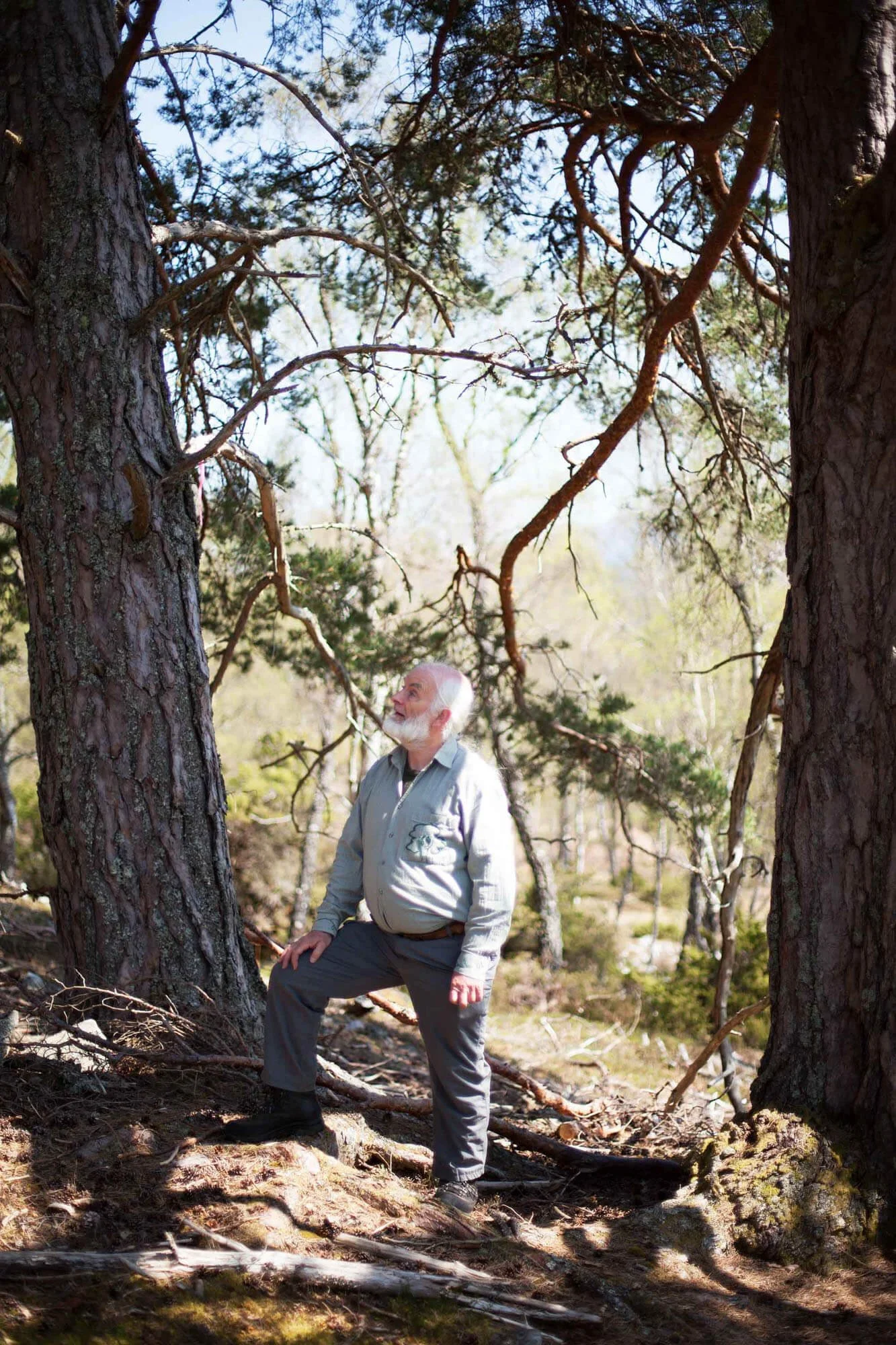 Scottish ecologist and rewilder, Alan Watson Featherstone, at Trees for Life, Scotland