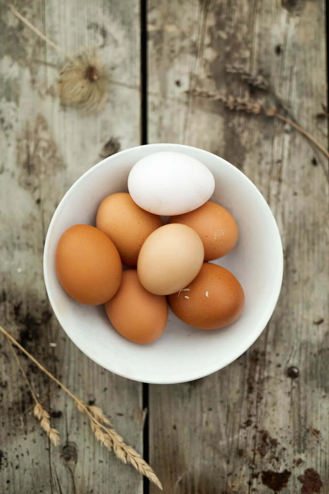 A white bowl containing brown and white eggs on a rustic wooden surface with dried plant material nearby.