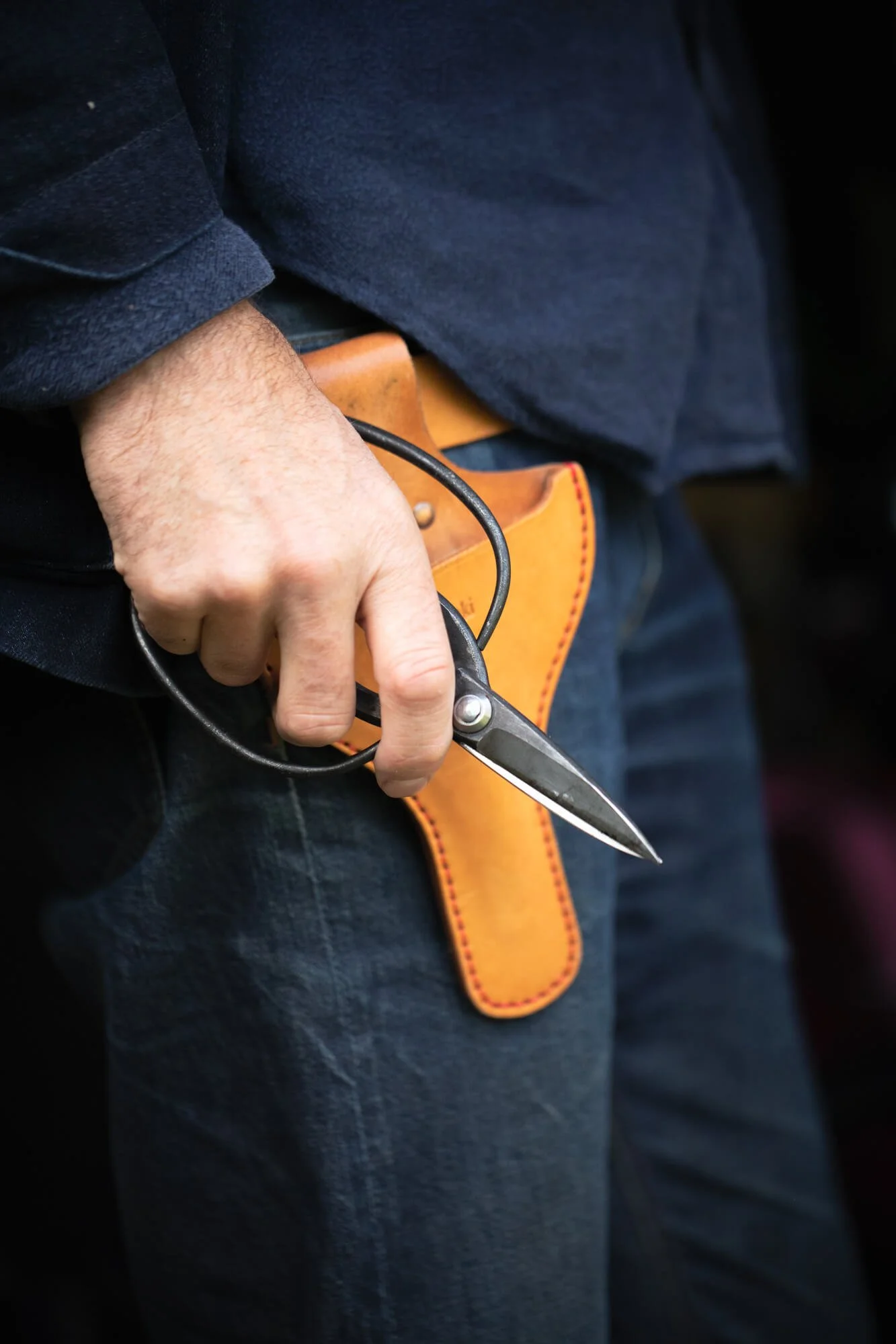 Person holding pruning shears with leather holster