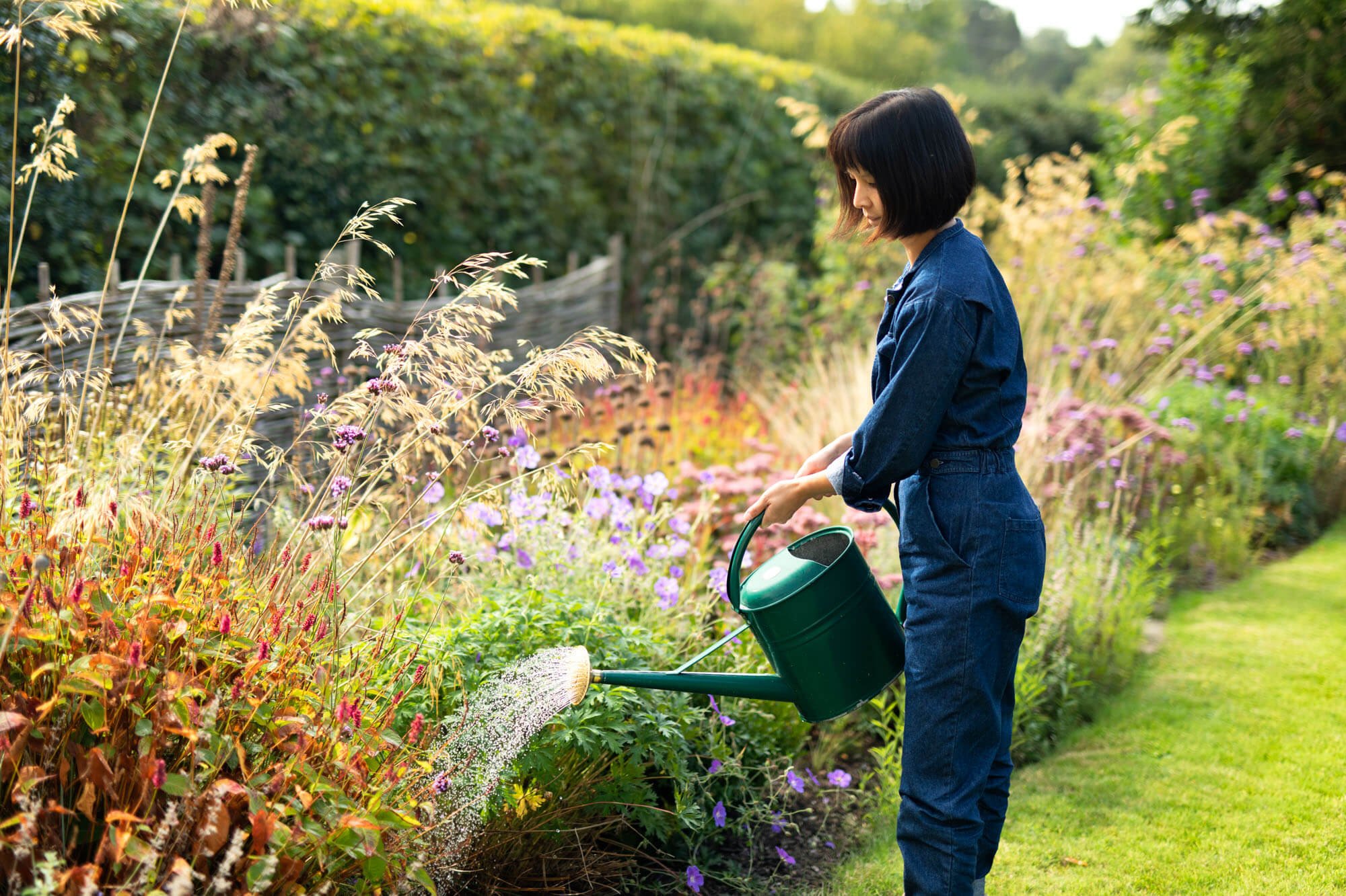 Person watering flowers in a garden with a green watering can, wearing denim clothing.
