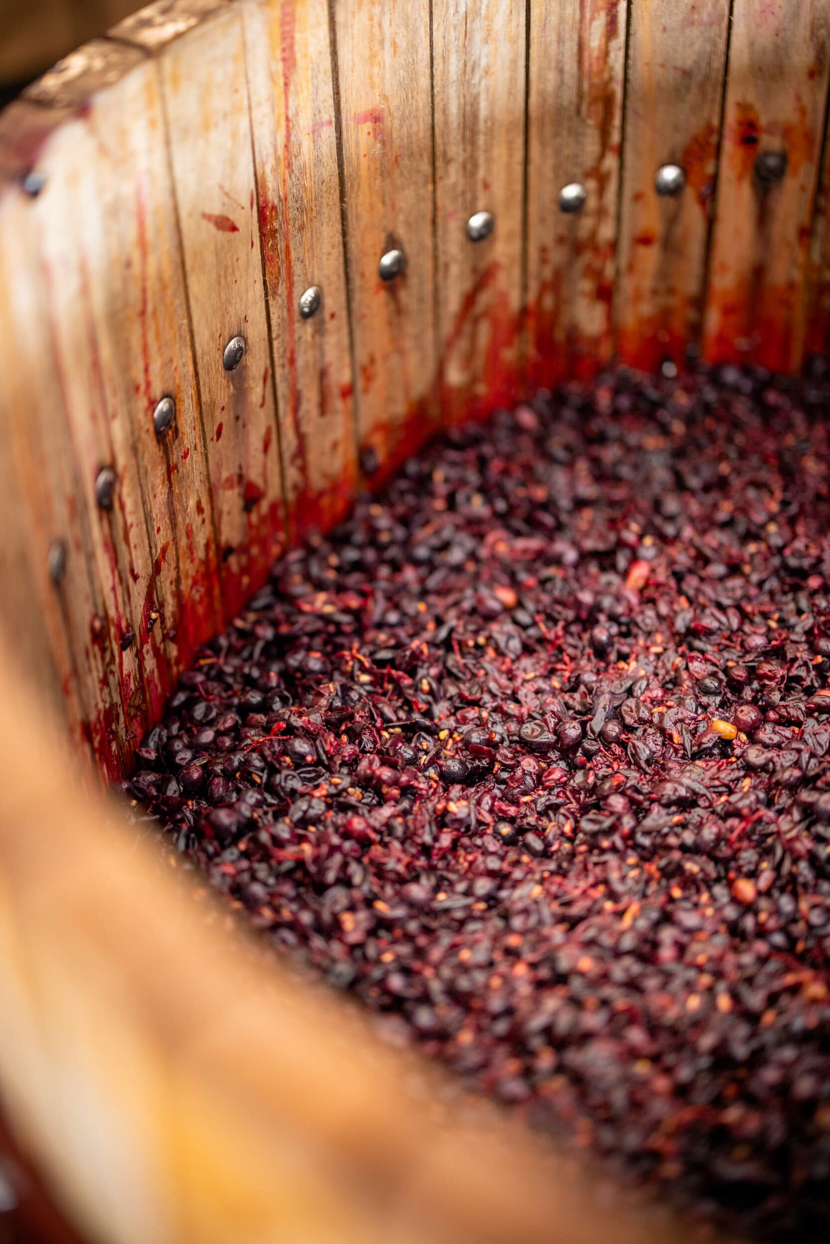 Crushed grape skins in a wooden wine press