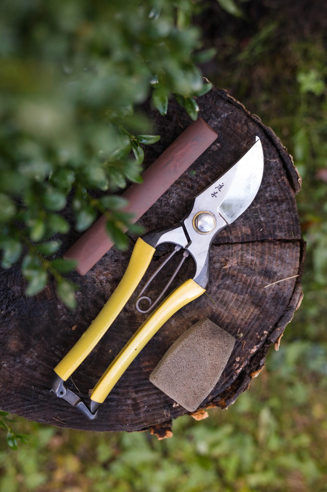 Yellow-handled pruning shears, sharpening stone, and red sharpening rod on a tree stump with greenery in the background