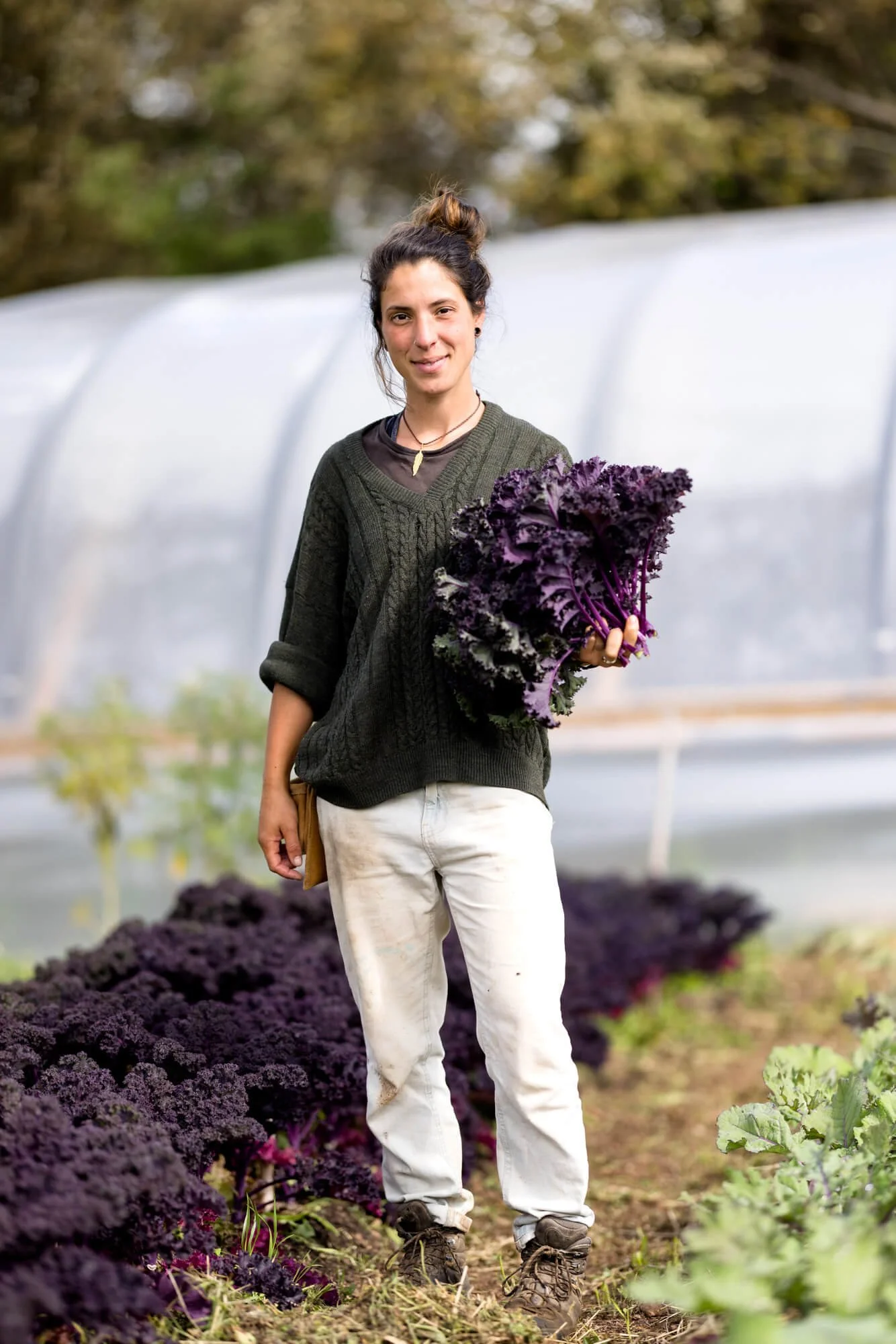 Person holding purple kale in a farm setting.