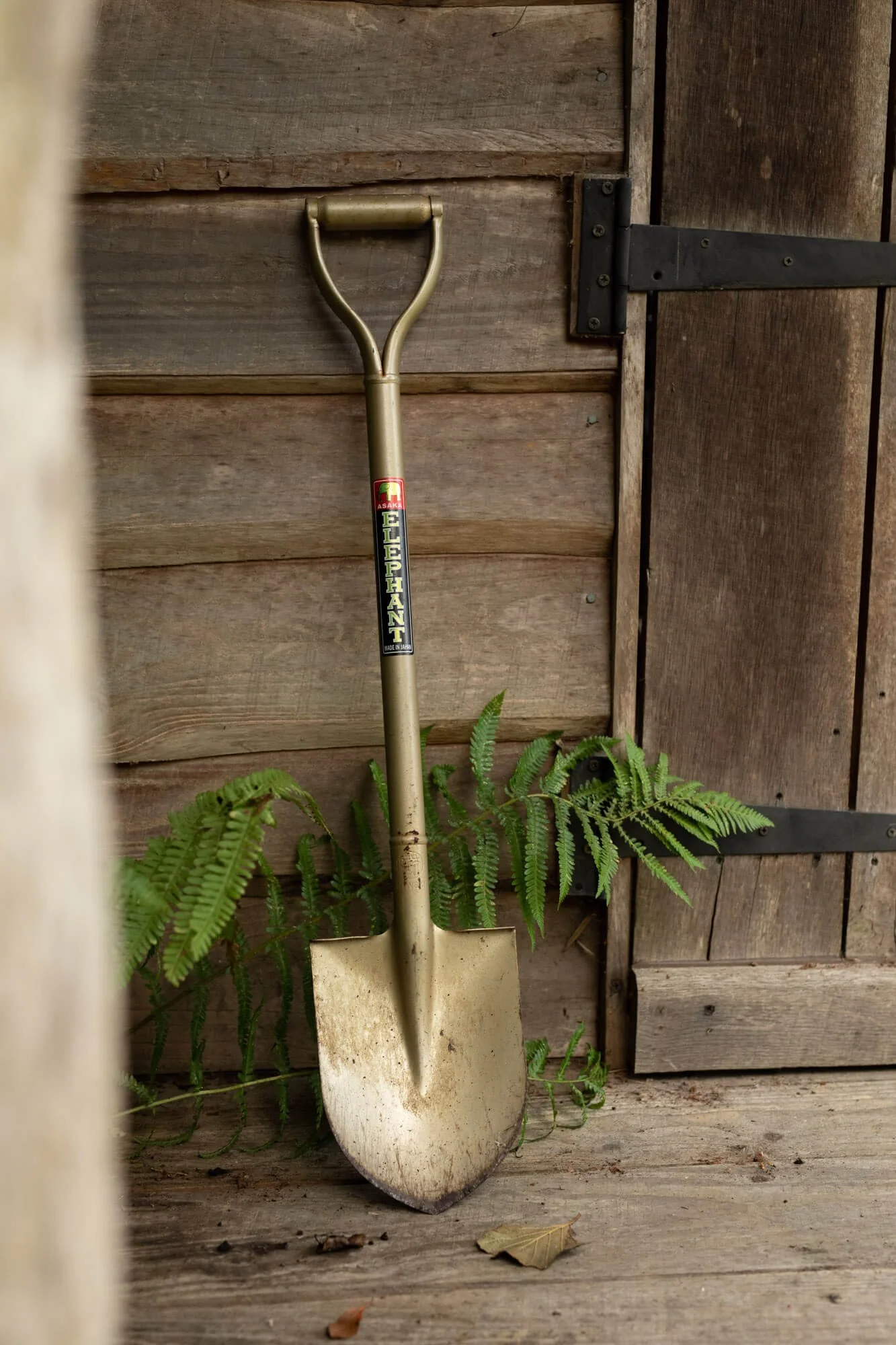 Metal shovel leaning against wooden wall with fern leaves nearby.