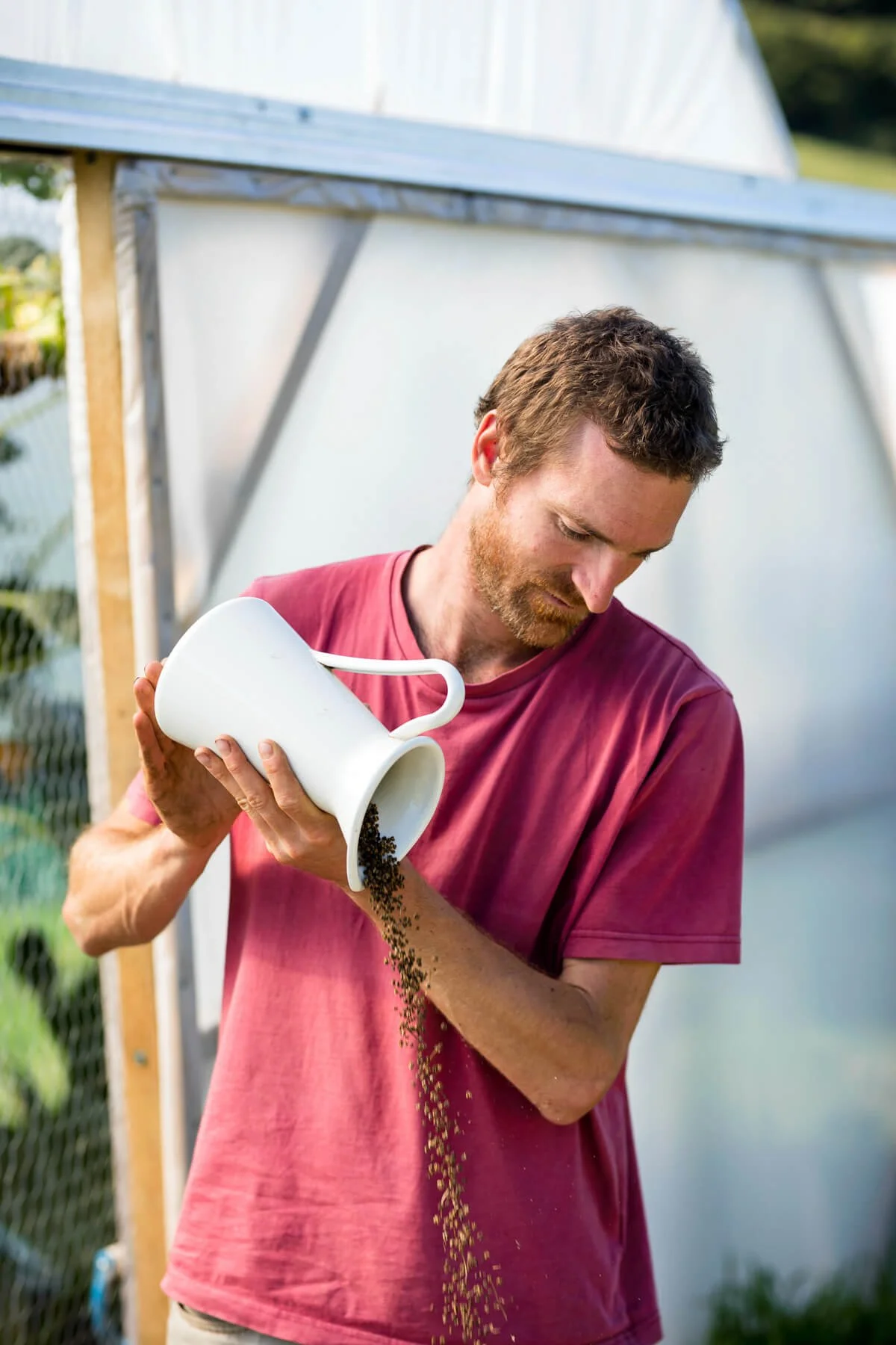 Fred Groom Winnowing Brocoli Seeds