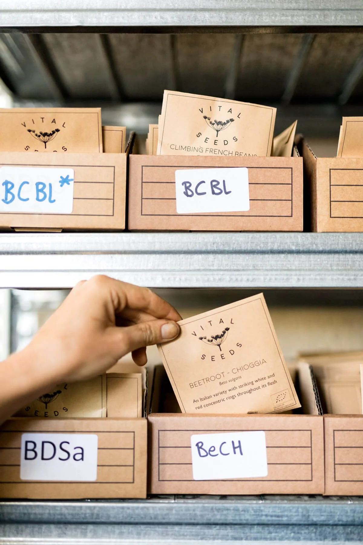 Vital Seeds, Seed Envelope Storage Racking