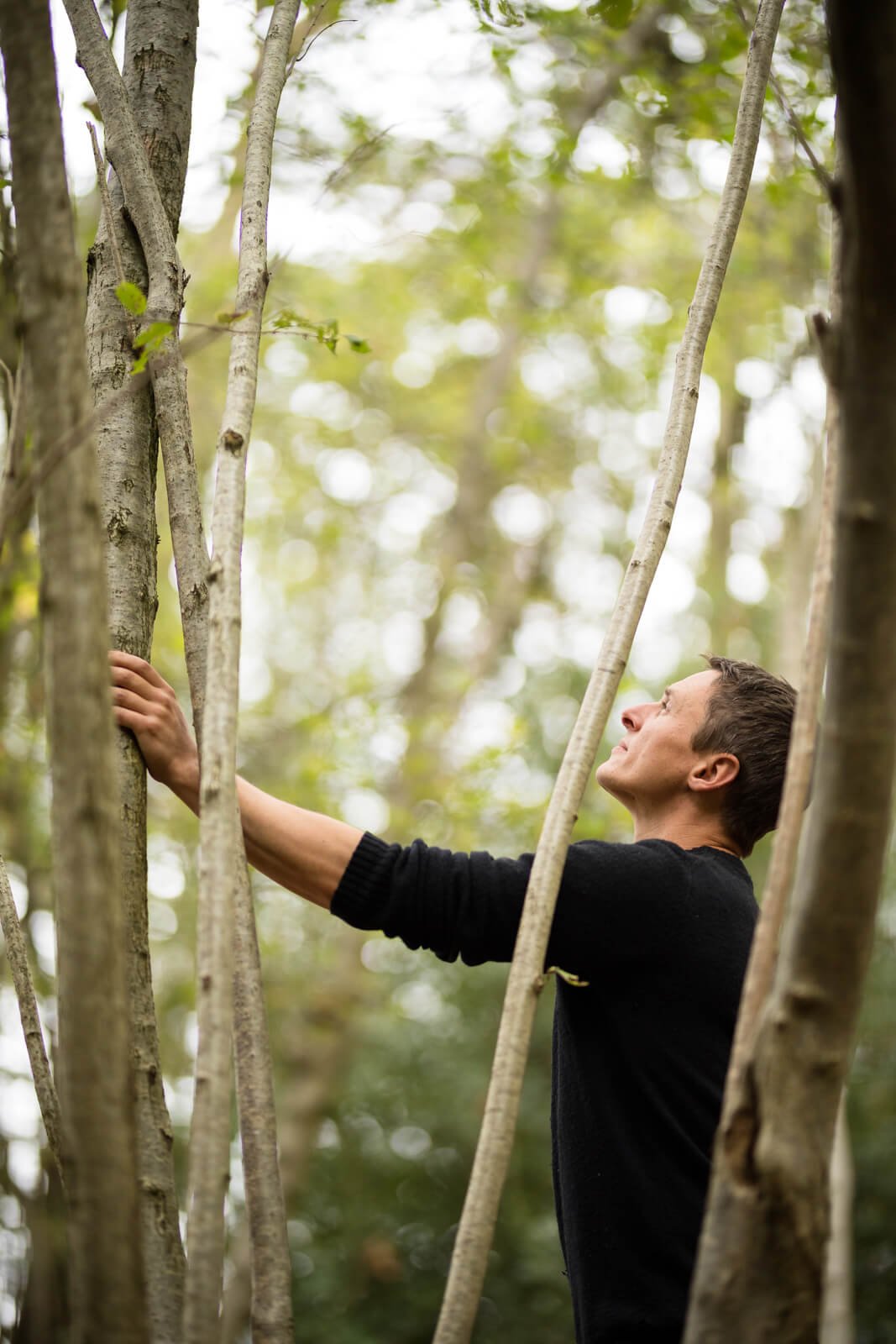 Andrew Groves, Selective Tree Felling Woodland Management, West Sussex