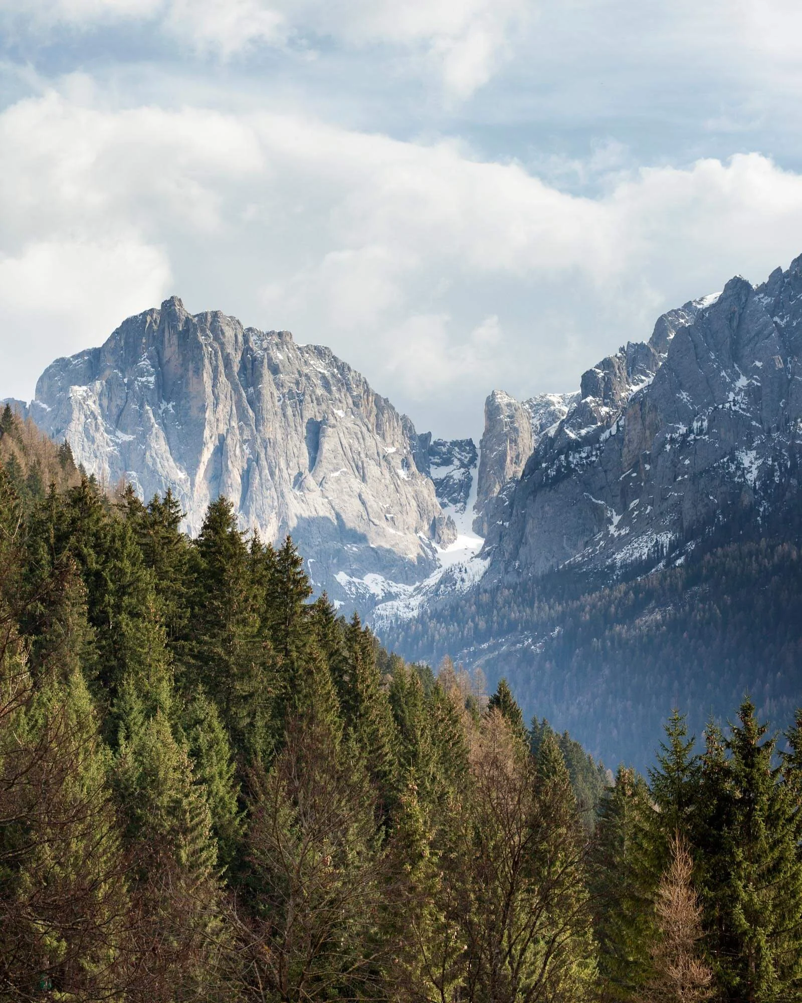 Mountain landscape with snowcapped peaks and dense evergreen forest