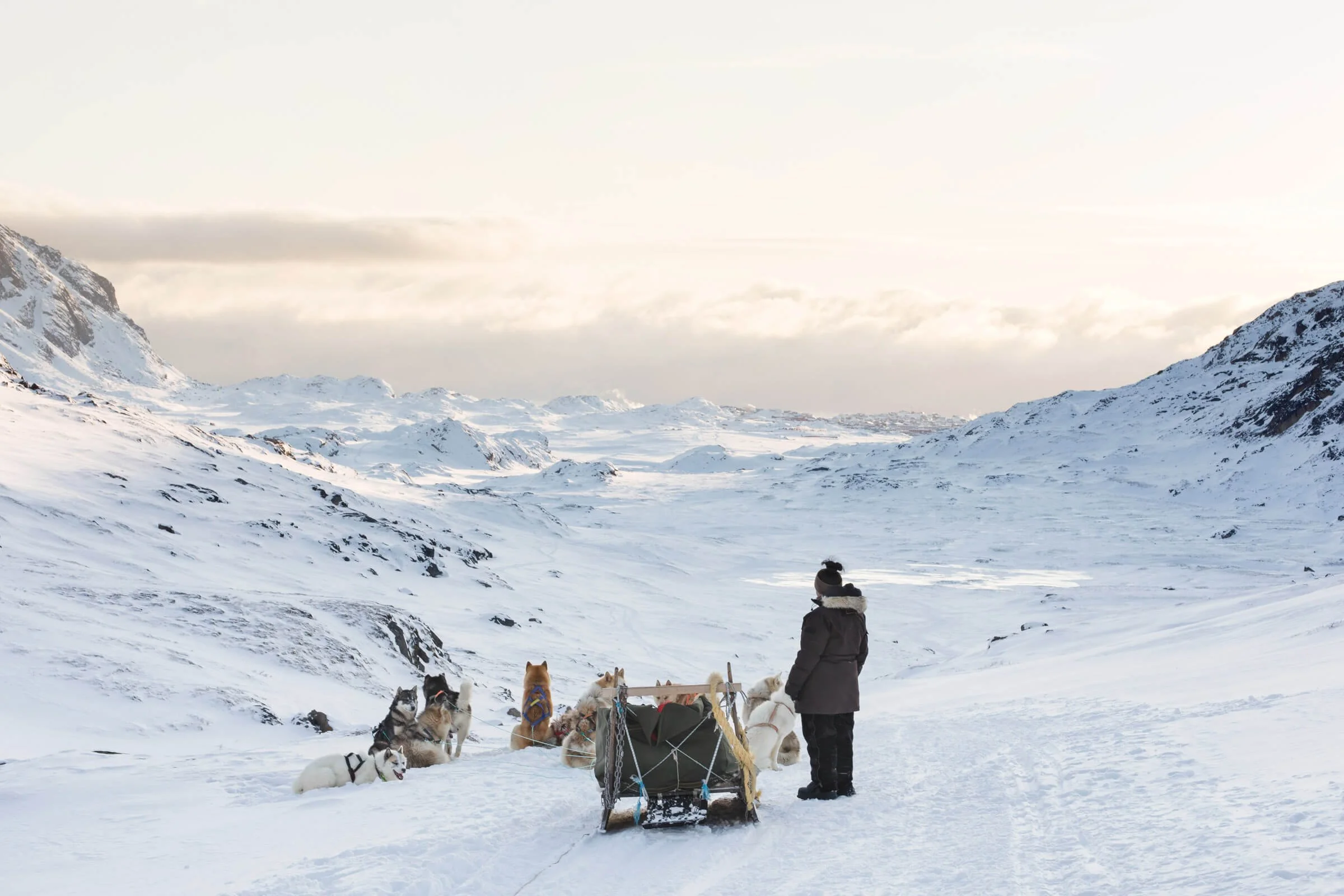 A greenlandic lady with a dog sled team in a snowy landscape. 