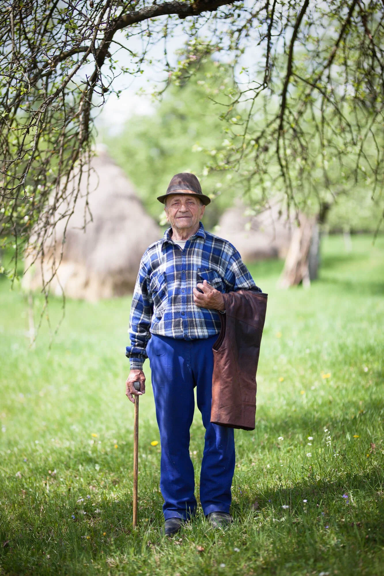 Elderly man in a plaid shirt holding a cane and jacket standing in a grassy field under a tree.