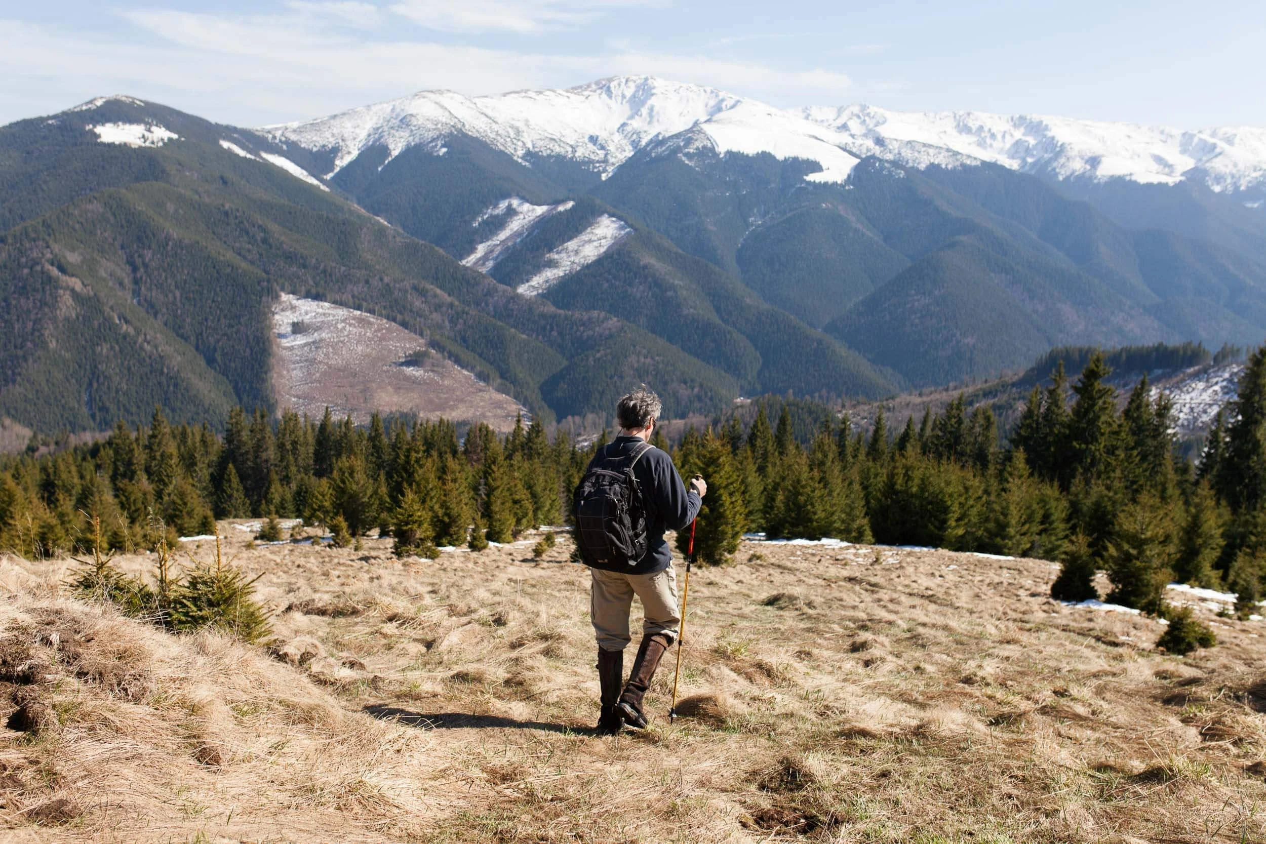 Person hiking with backpack and walking stick in mountainous landscape