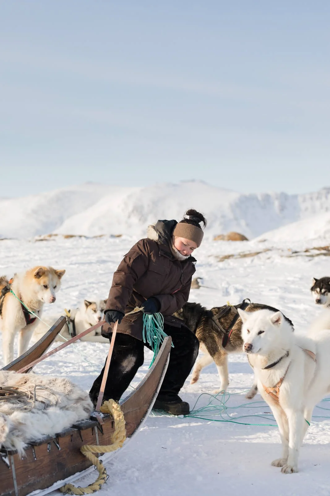 Person preparing a dog sled with huskies in snowy landscape
