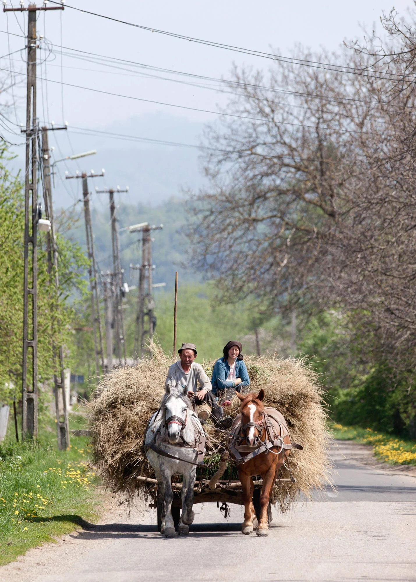 Two people riding a horse-drawn cart loaded with hay on a rural road.