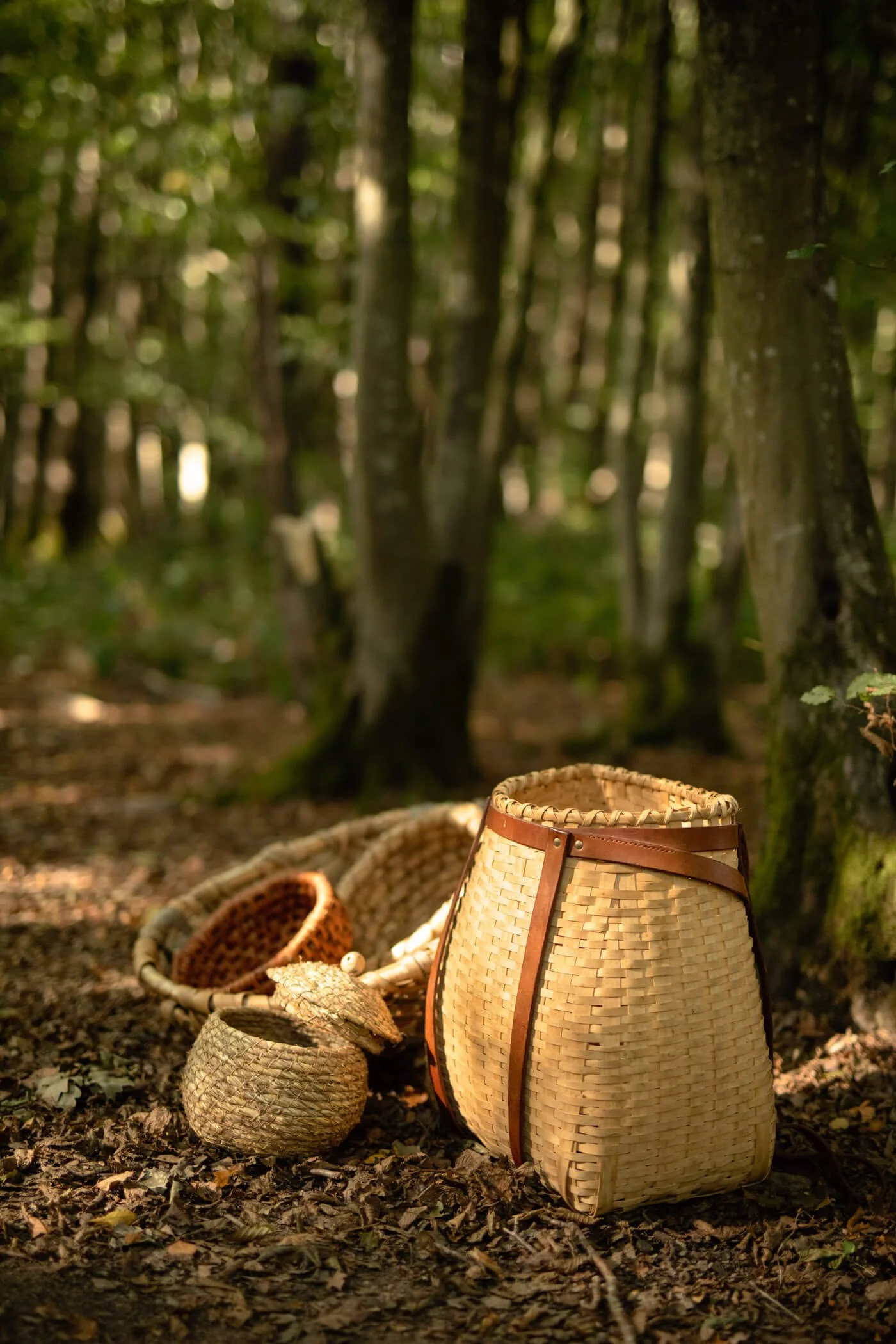 Various Baskets In Dappled Light on Woodland Floor, Basket Weaving