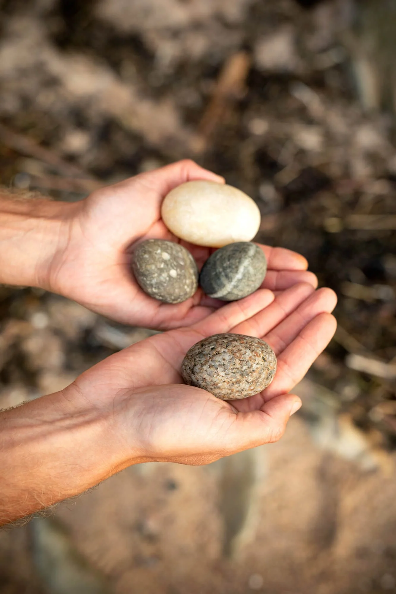 Hands holding four smooth, round stones.