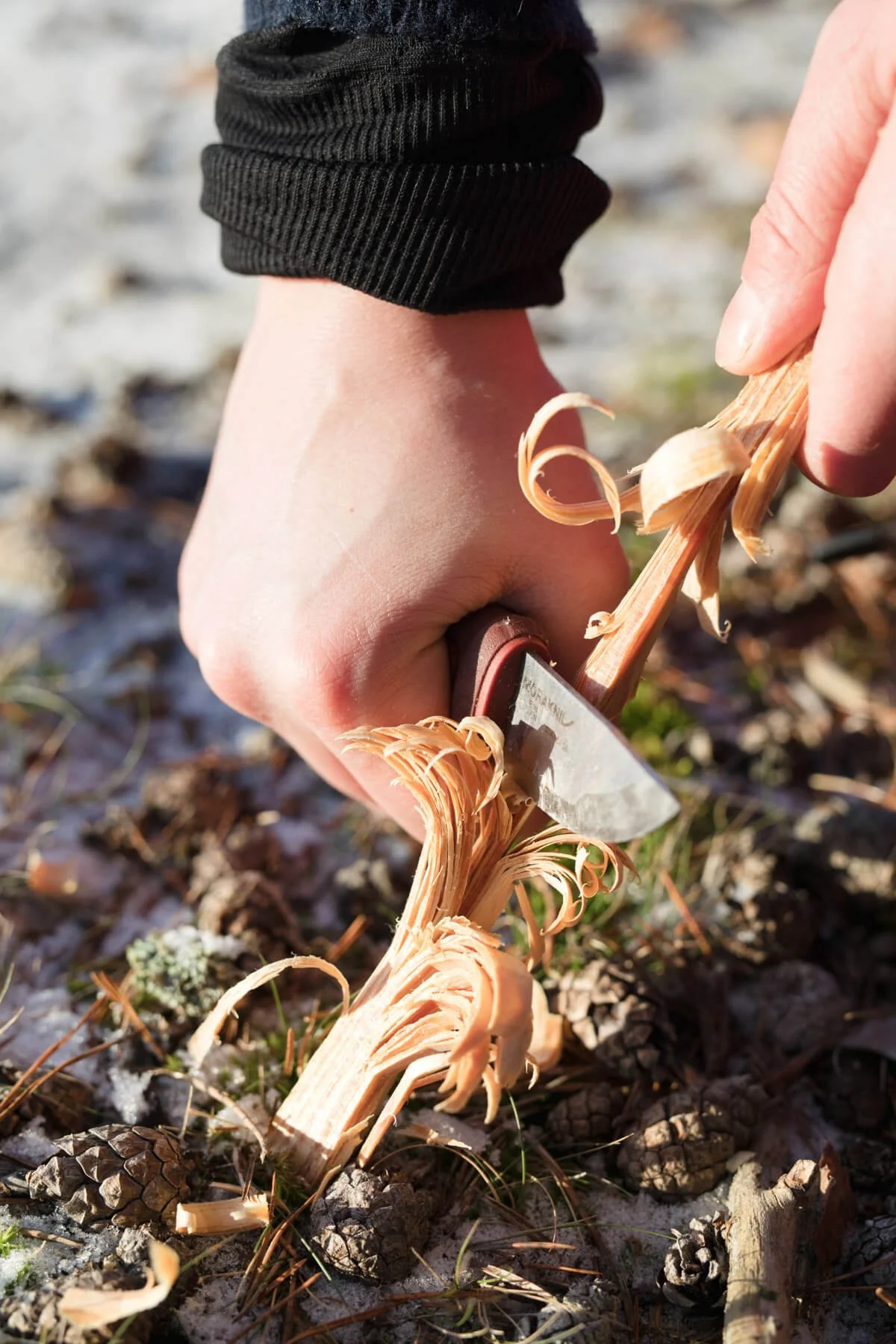 Close-up of a person using a knife to make wood shavings on a piece of wood, surrounded by pinecones and twigs on the ground.