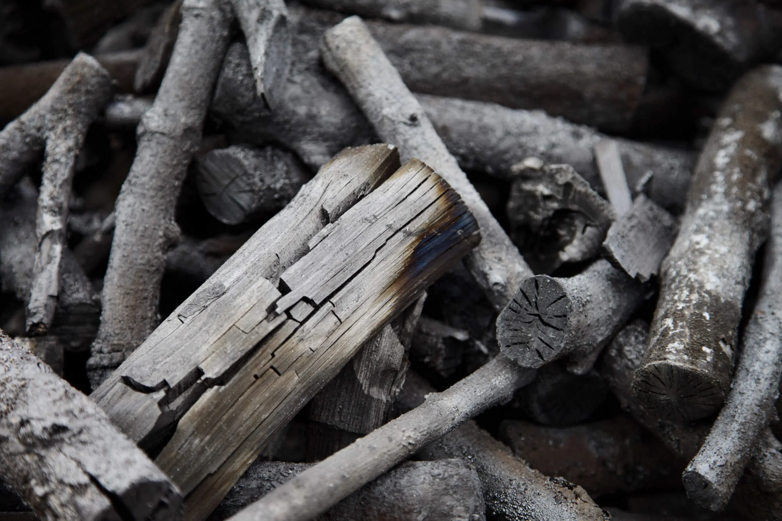 Charred wooden logs and sticks with ash
