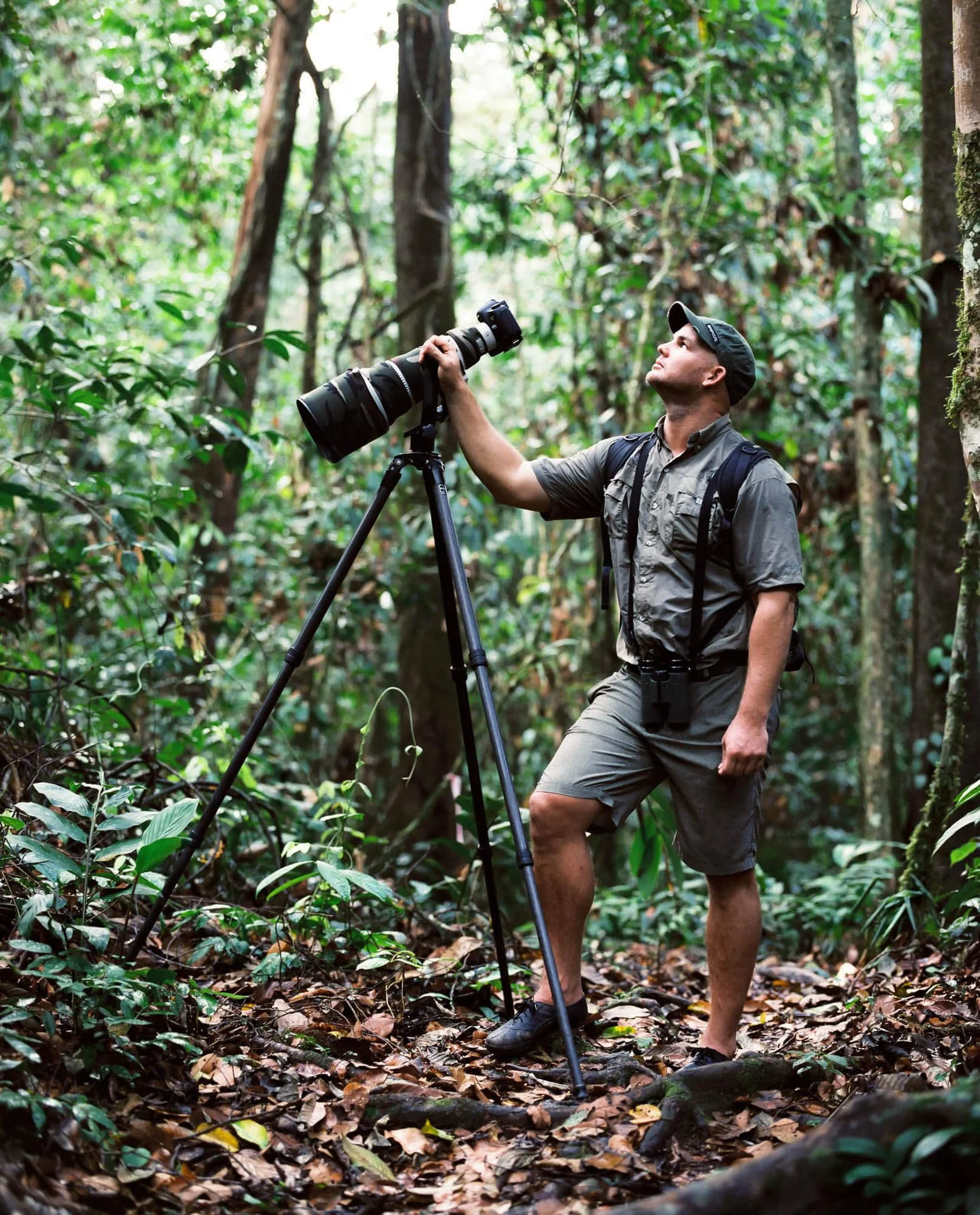 Man in a forest with a camera on a tripod looking upwards.